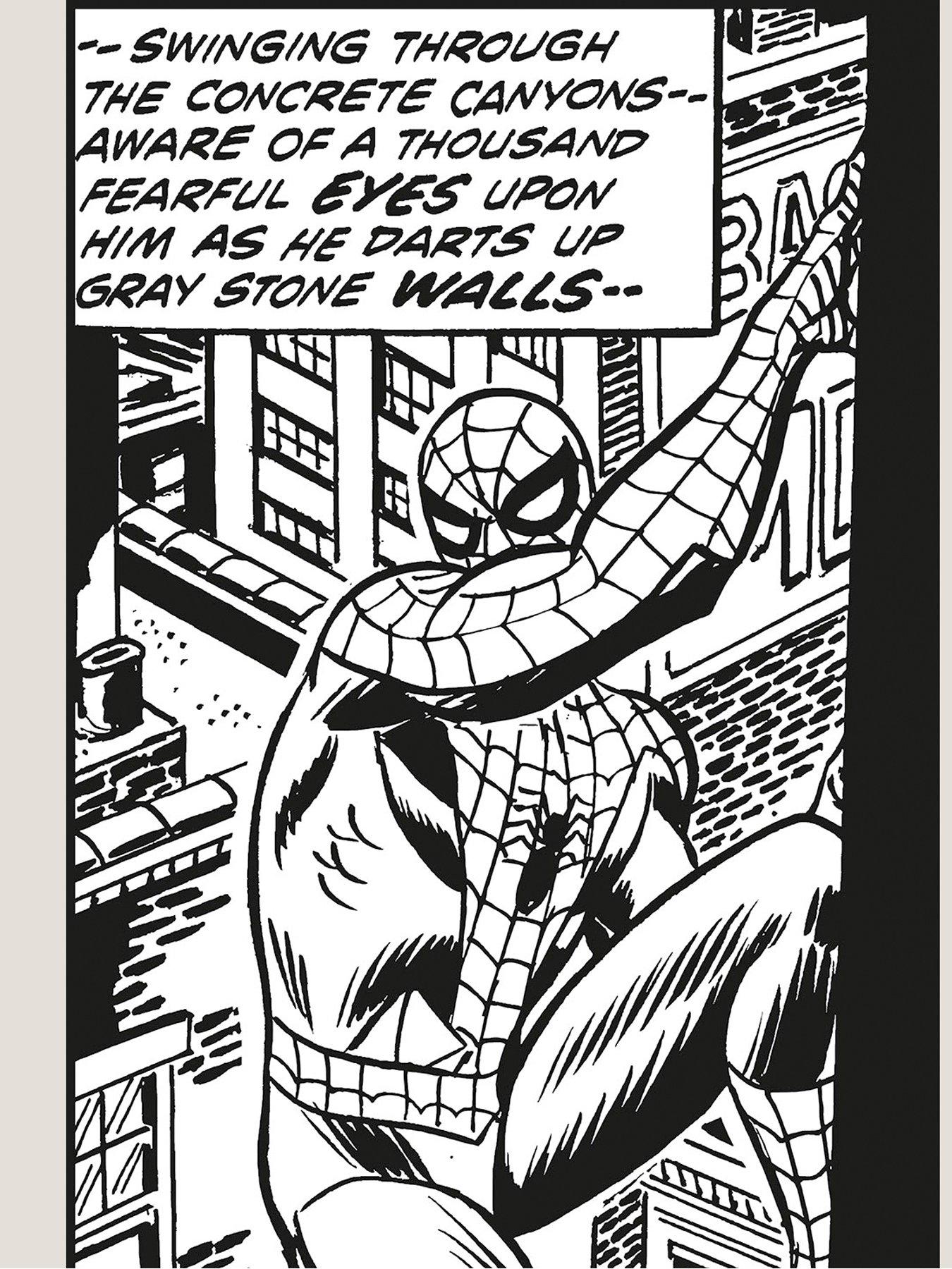 Image 2 of 2 of Komar Komar mural Marvel Spider-Man