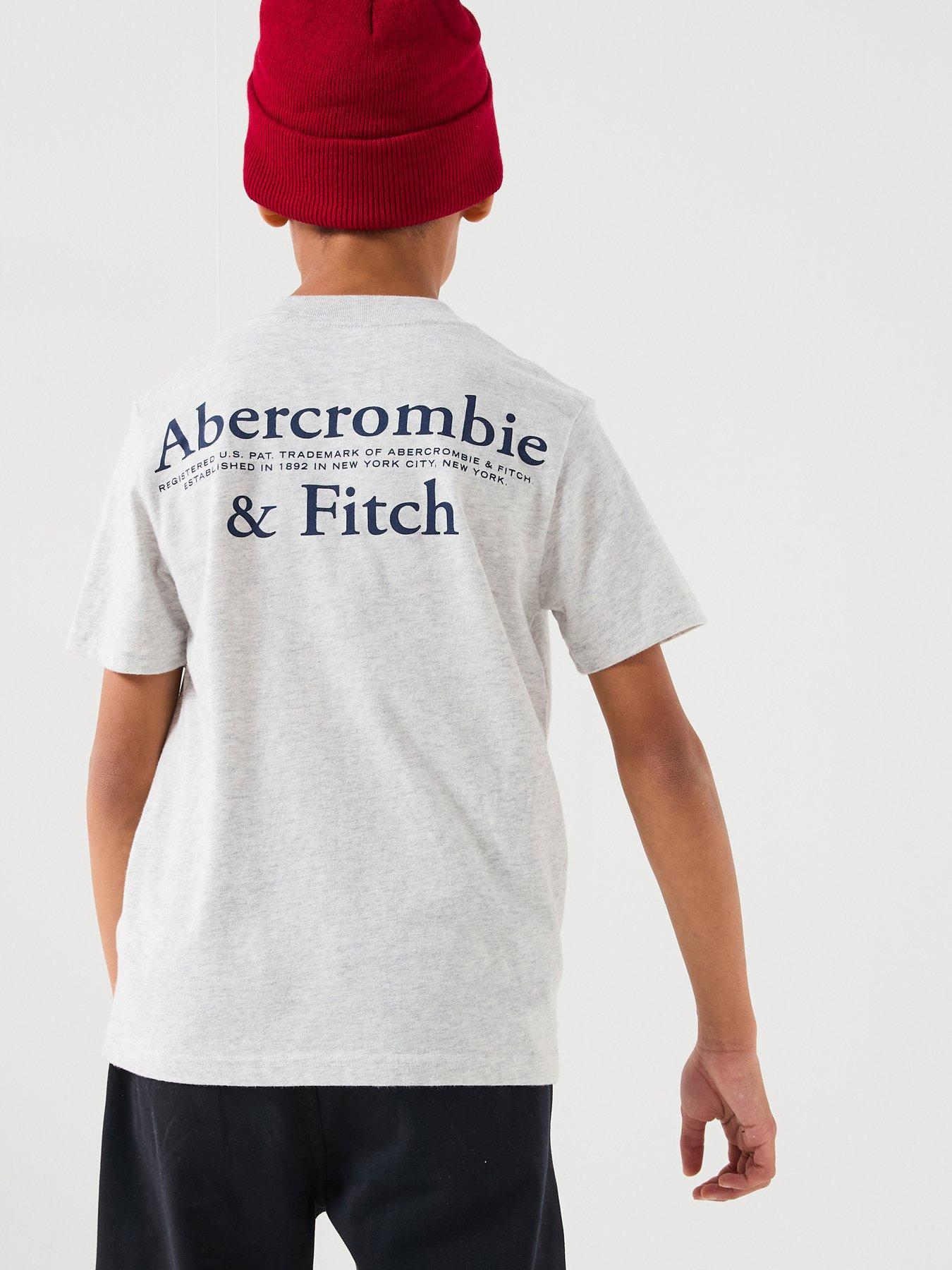 Abercrombie & Fitch Boys Foothills Short Sleeve T-Shirt - Grey