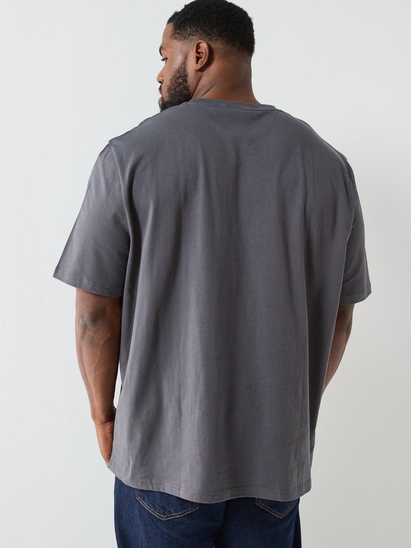 lyle-scott-big-and-tall-plain-t-shirt--greystillFront