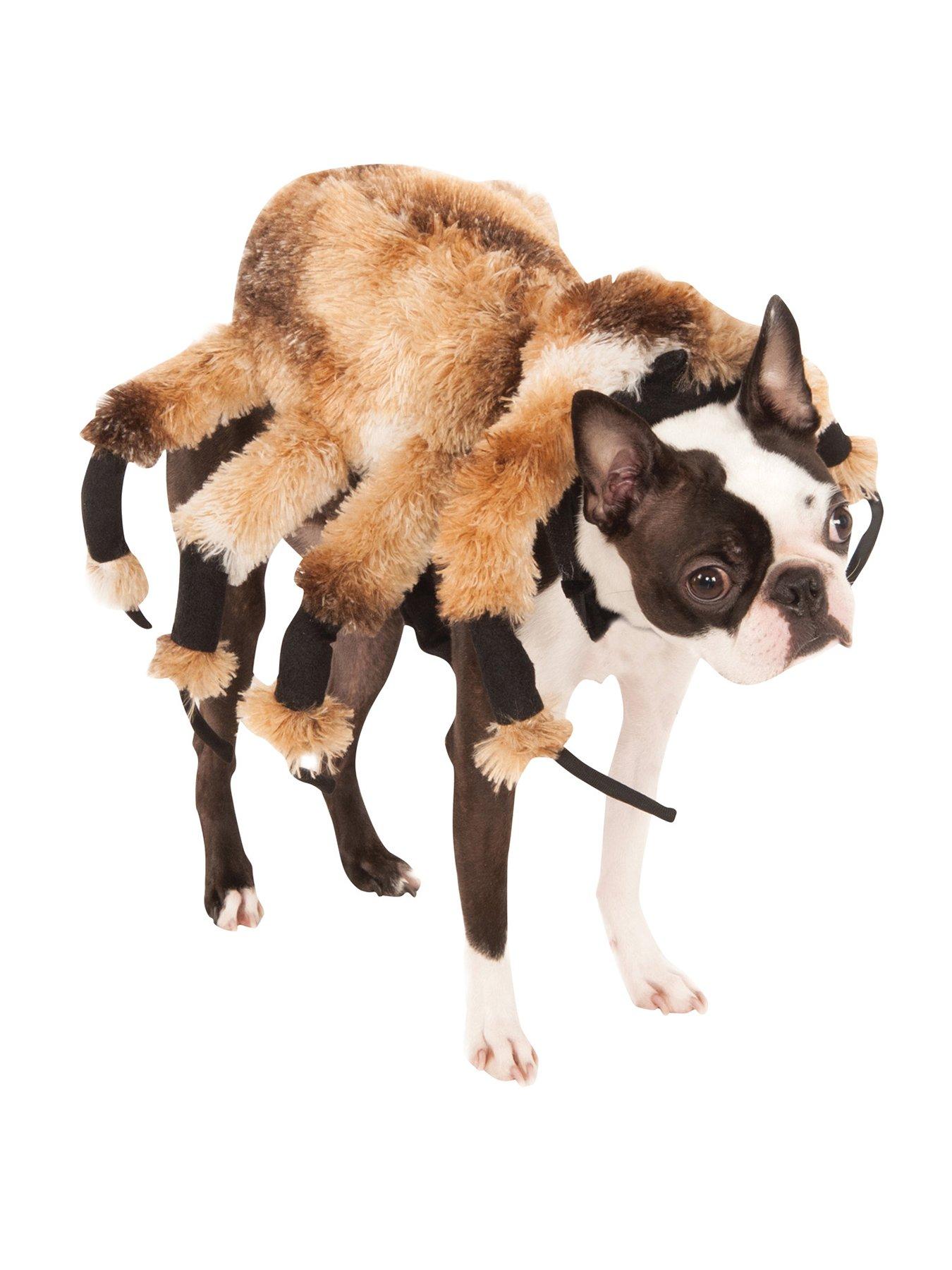 Giant Spider Pet Fancy dress - Large