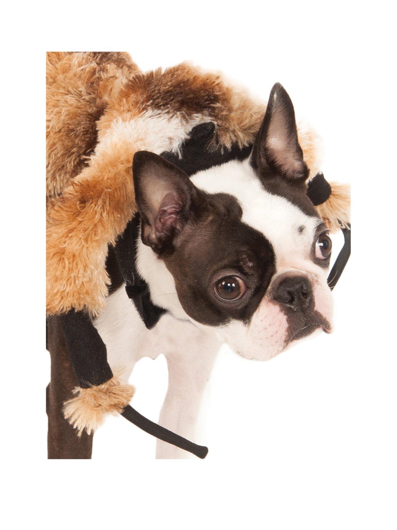 giant-spider-pet-fancy-dress-largeback