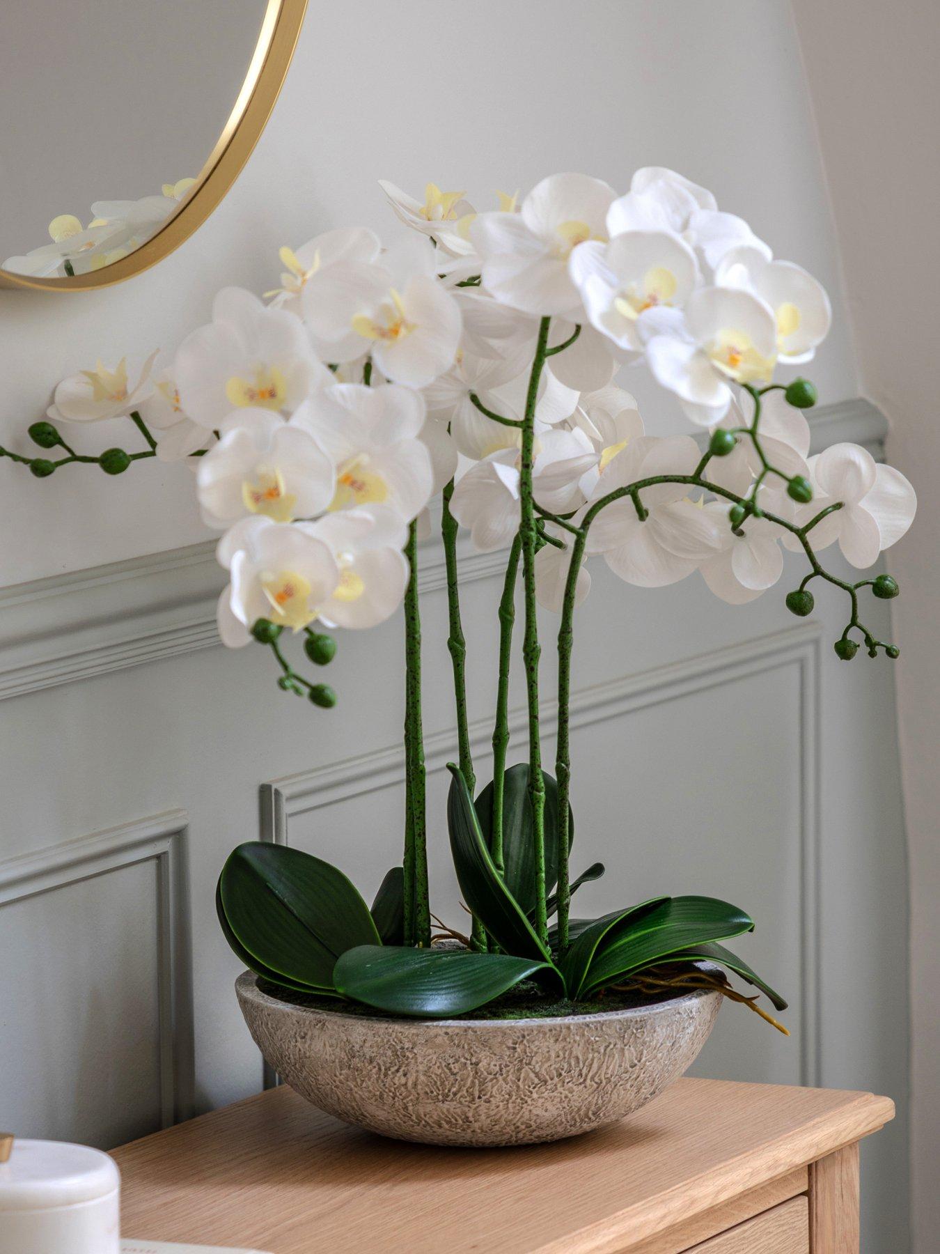 gallery-direct-oversized-orchid-in-cement-pot-white