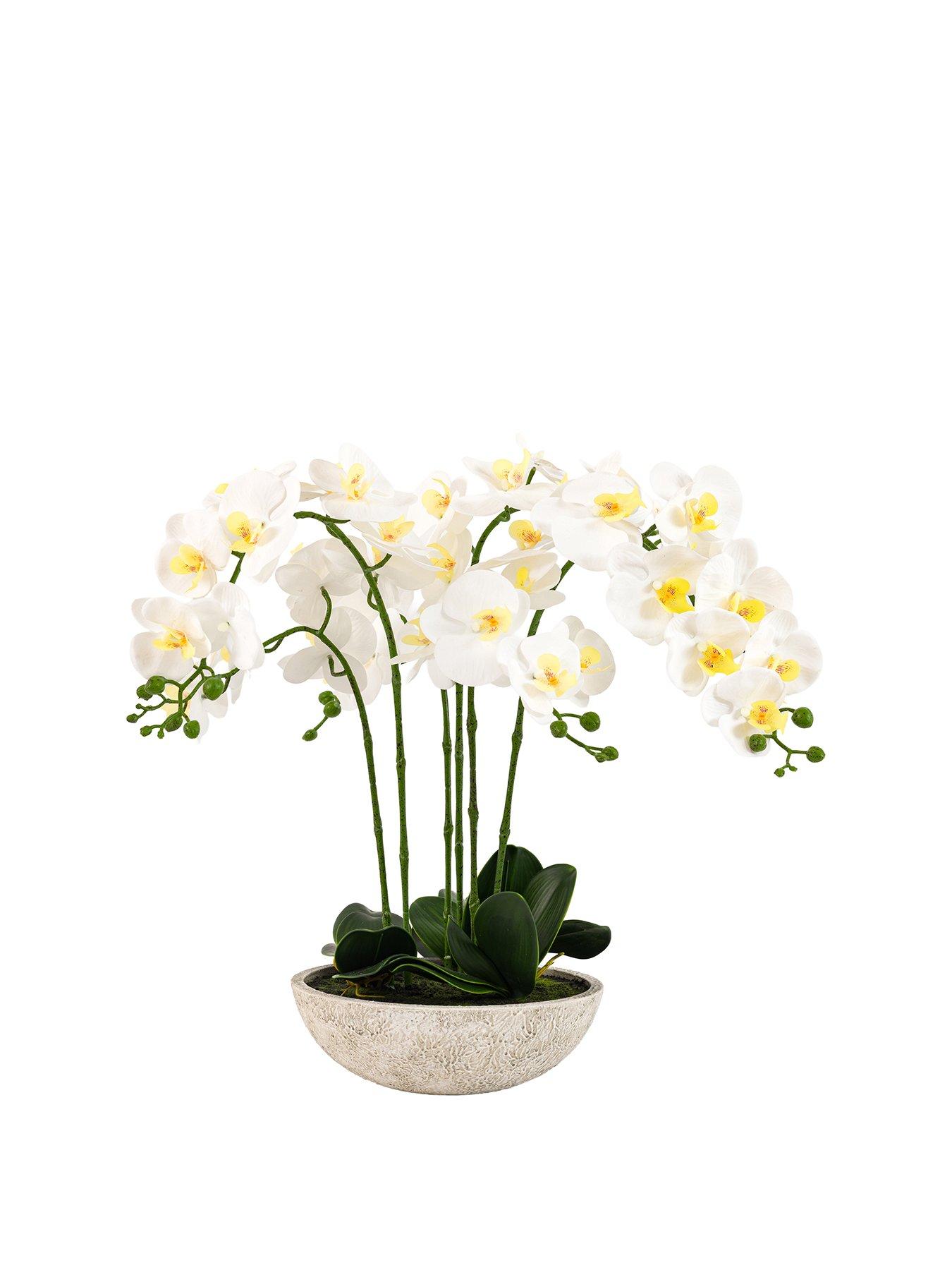 gallery-direct-oversized-orchid-in-cement-pot-whitestillFront