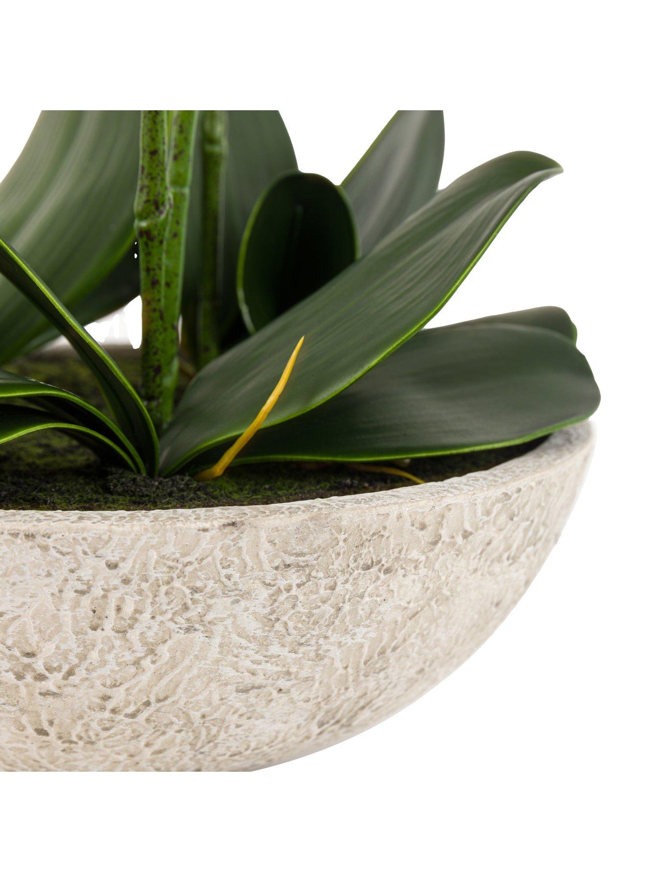 gallery-direct-oversized-orchid-in-cement-pot-whitedetail