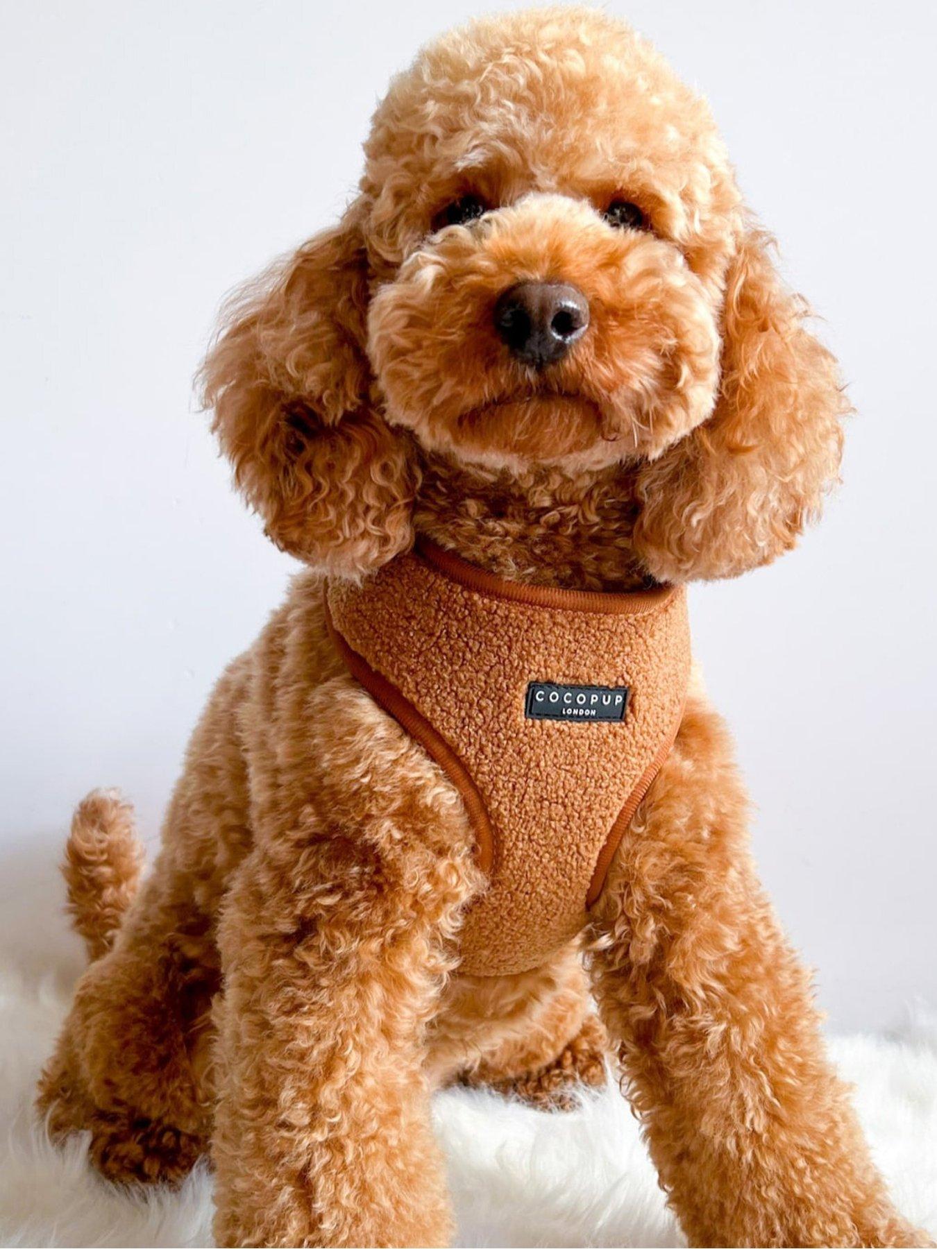 Cocopup Teddy Paddington Harness