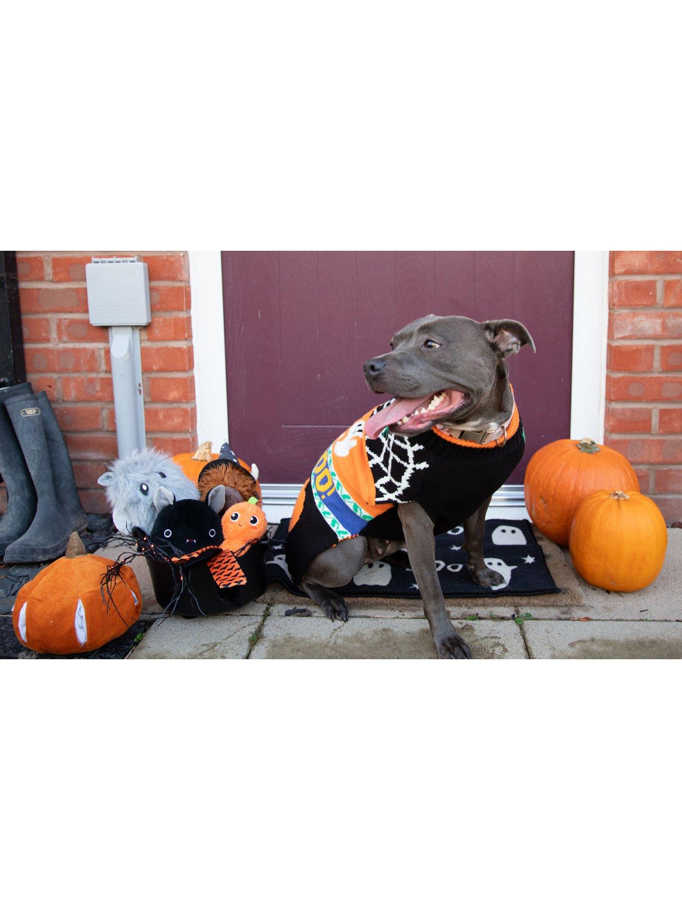 Rosewood Halloween Roll Neck Jumper - Large in Multi