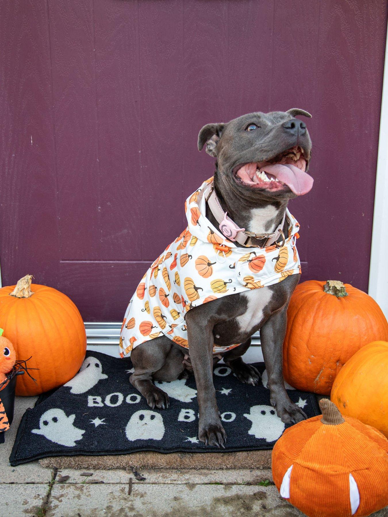 Rosewood Pumpkin Raincoat - Large in Multi
