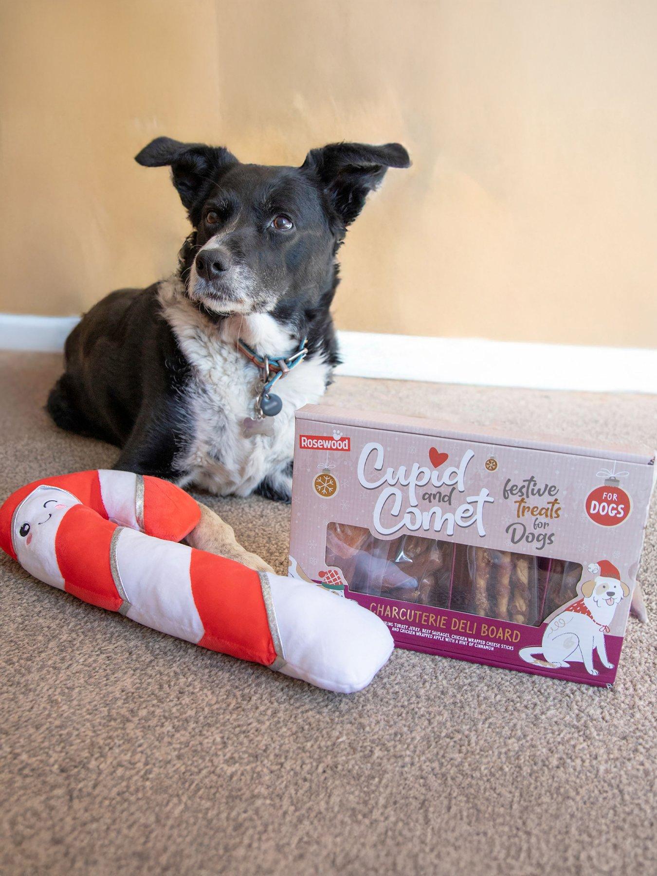 Rosewood Christmas Charcuterie Deli Board for Dogs 200g & Plush Cany Cane toy Bundle