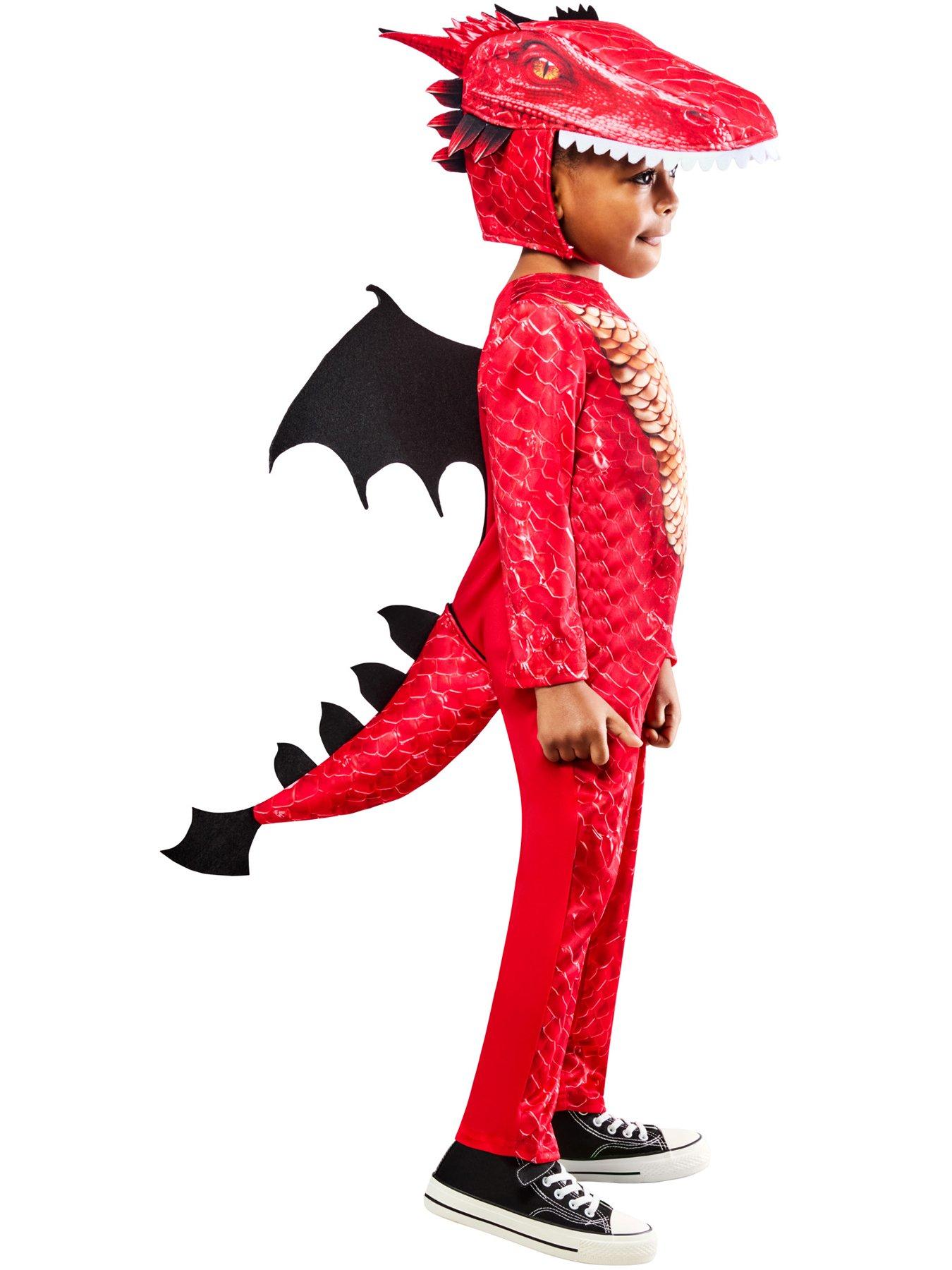 dragon-costumeback