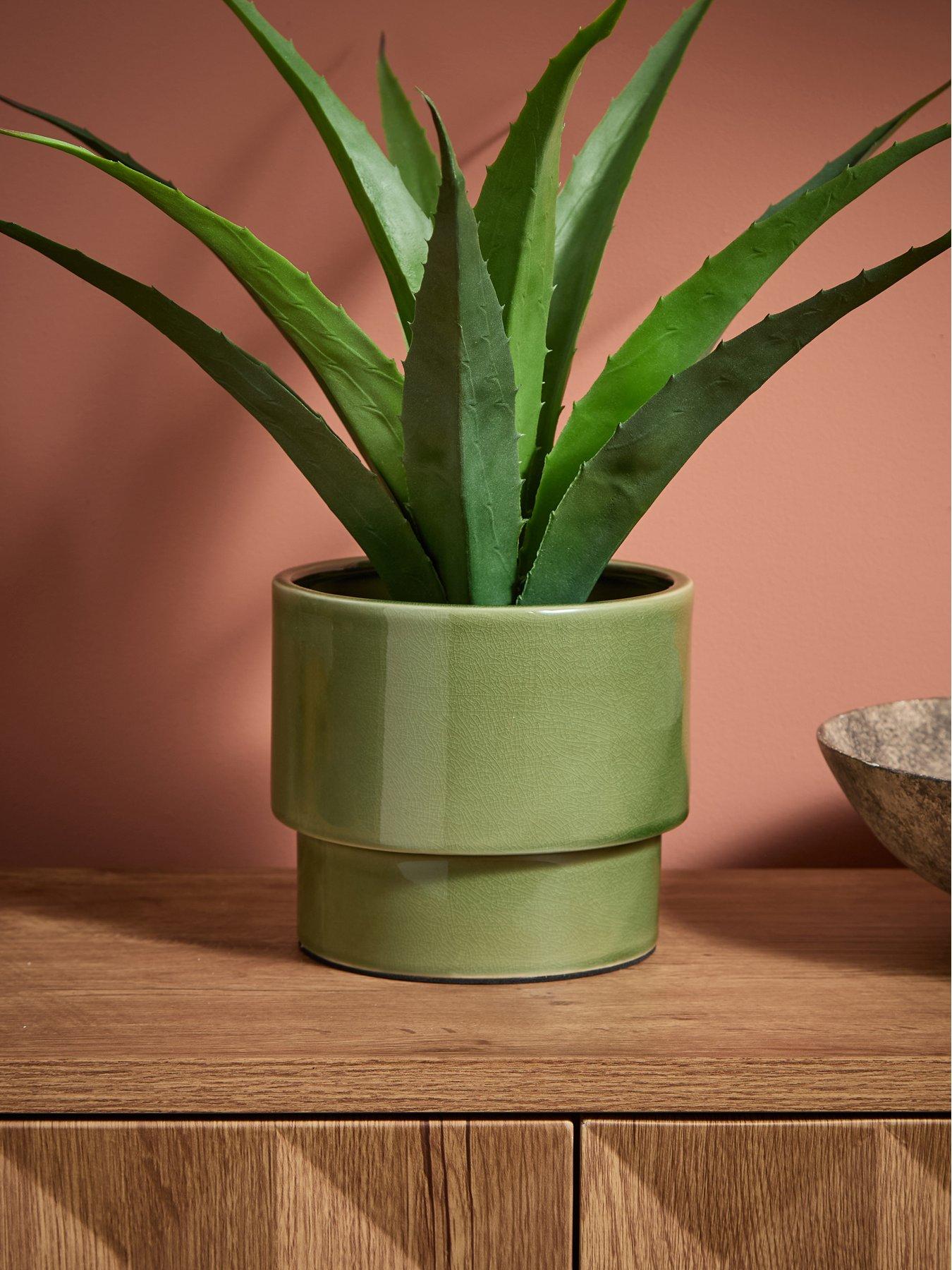 Image 1 of 5 of The Very Collection Green Ceramic Revive Planter