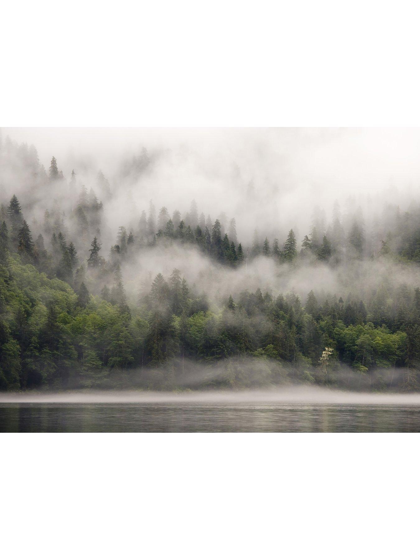 Image 2 of 4 of AS Creation Fjordlands Digital Mural 350cm X 255cm