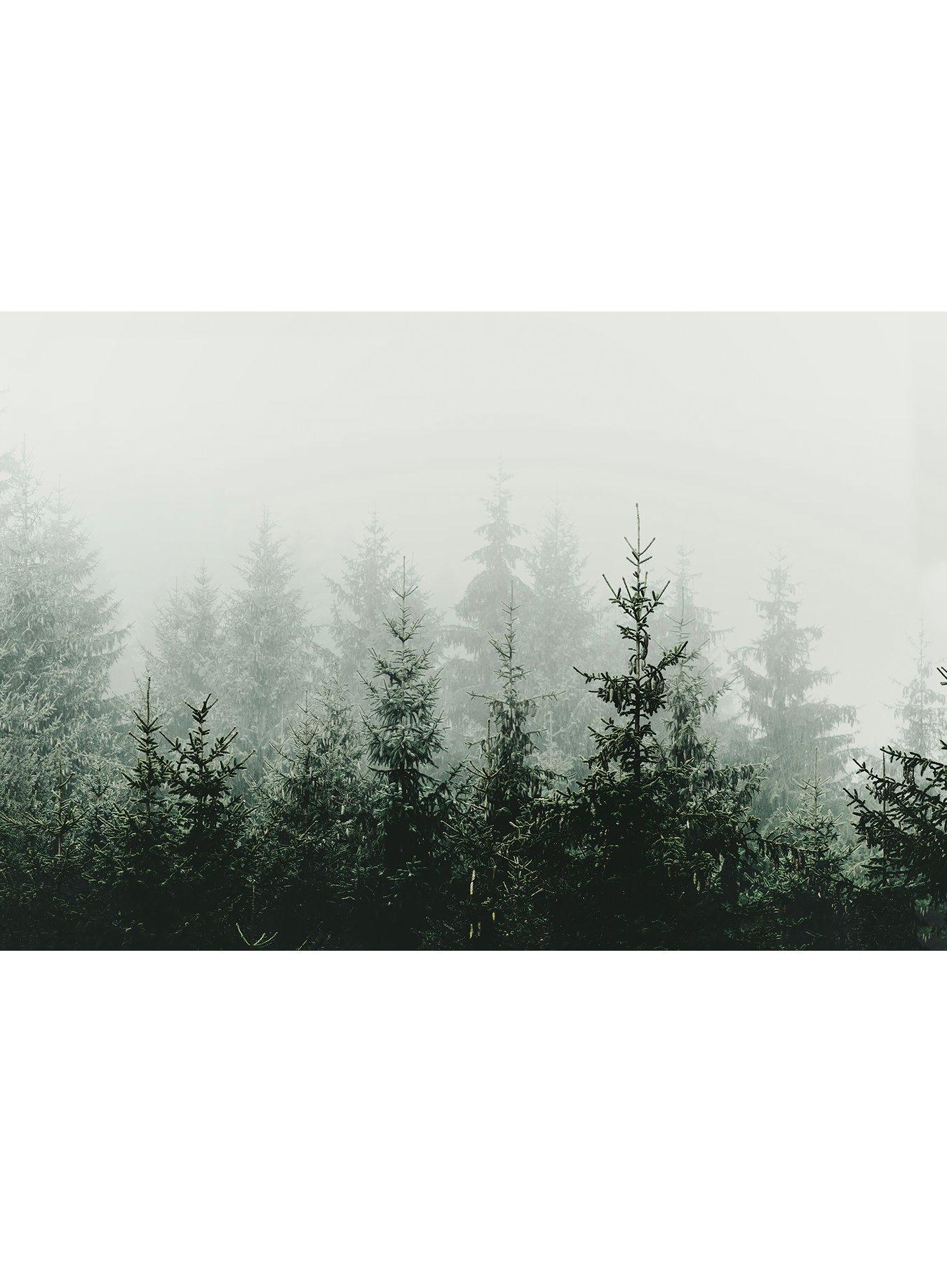 as-creation-mountain-forest-digital-mural-400cm-x-270cmback