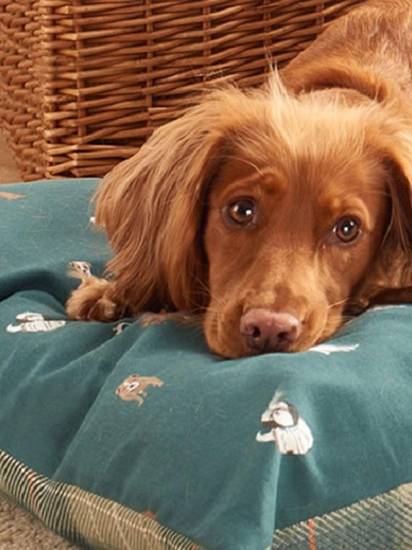 laura-ashley-park-dogs-deep-mattress-dog-bedback