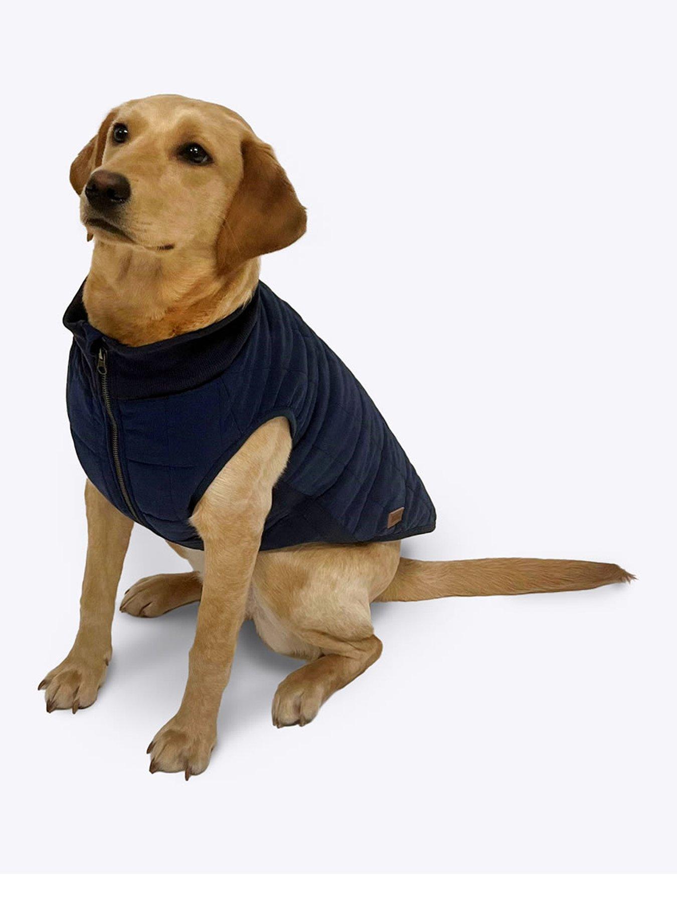 fatface-harley-puffer-dog-coat-35cm