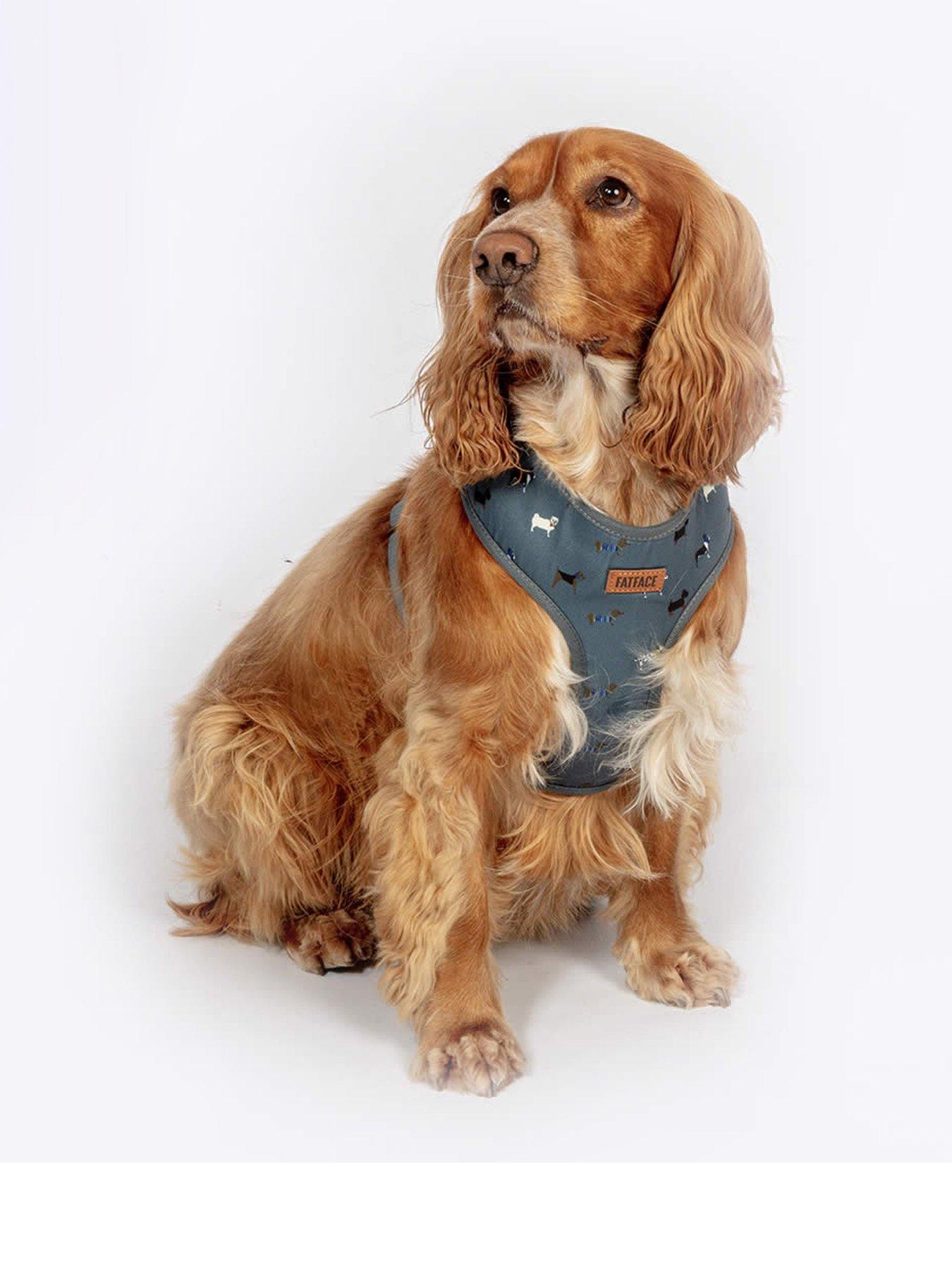 Image 1 of 5 of FatFace Marching Dogs Harness X-Small 34-45cm