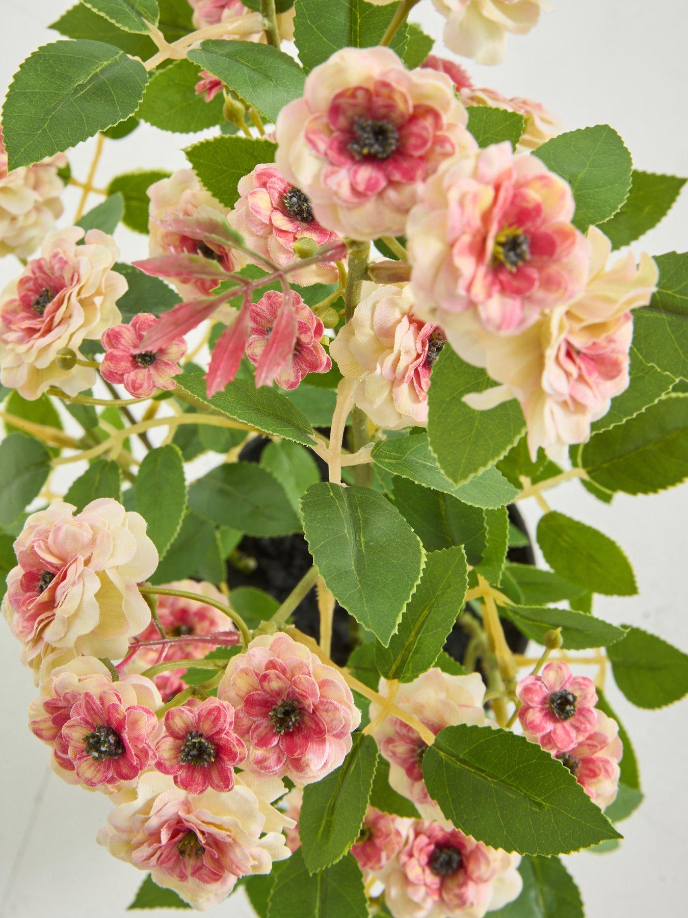 the-very-collection-56cm-camellia-in-pot-peachoutfit