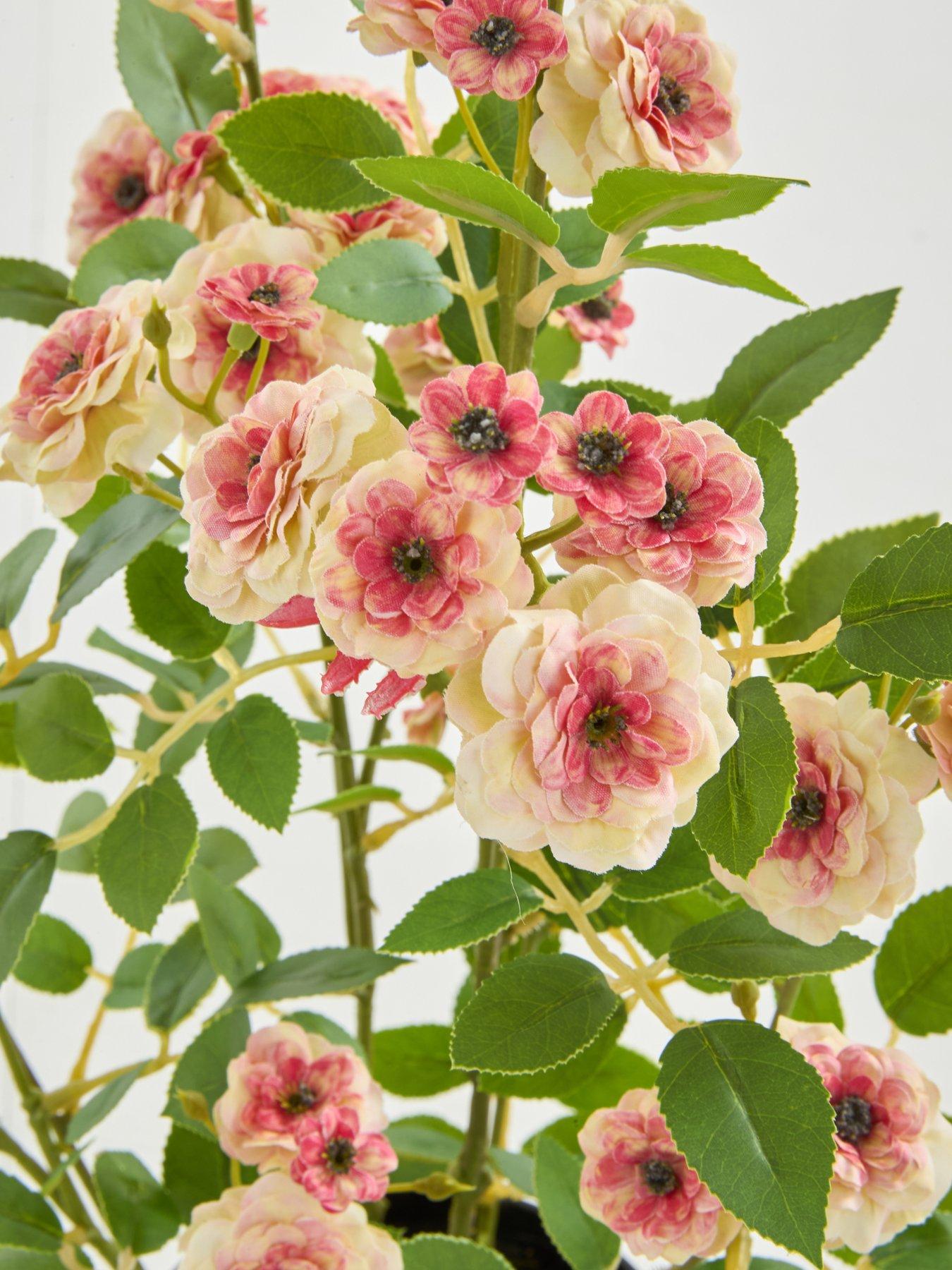the-very-collection-56cm-camellia-in-pot-peachdetail