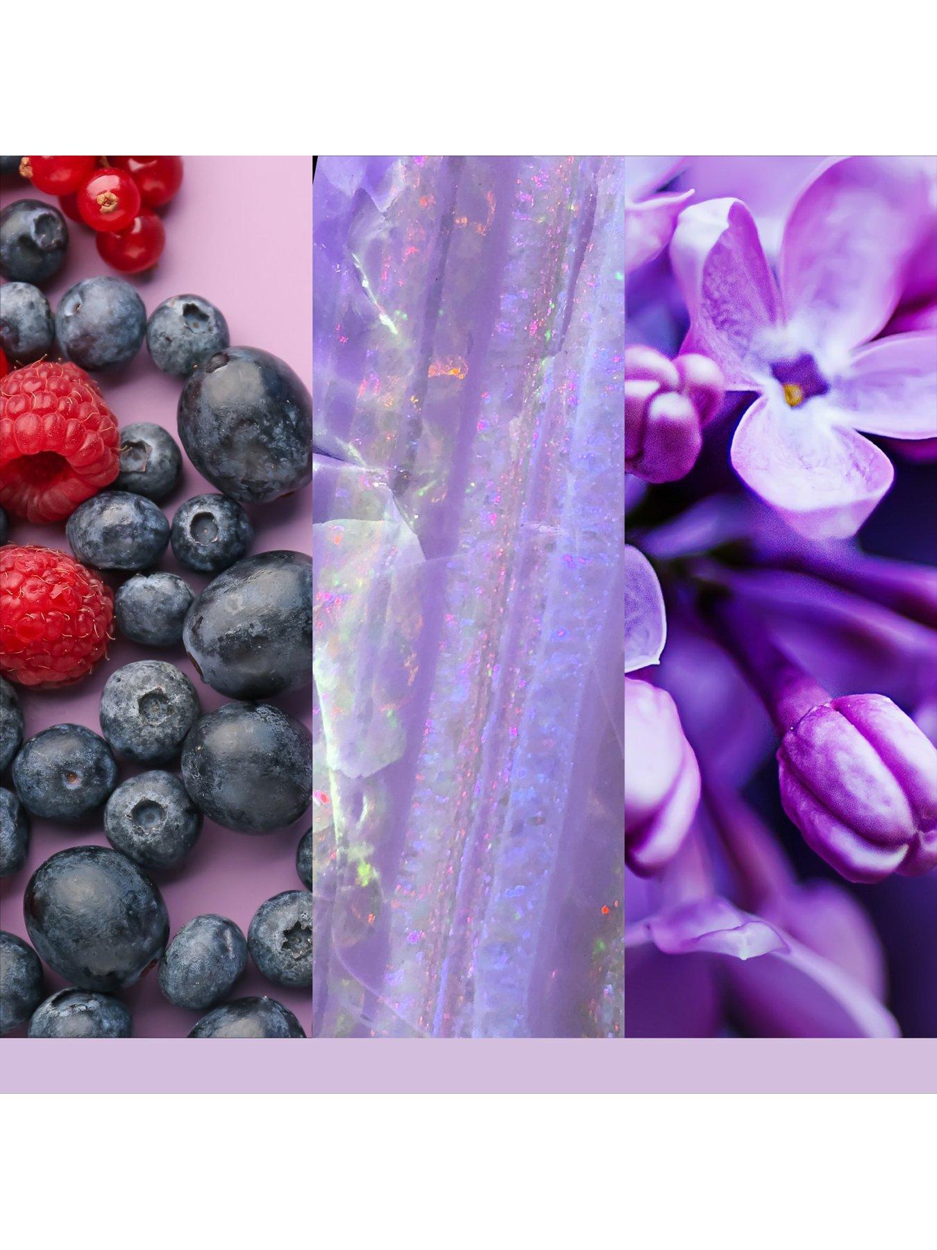 Image 7 of 7 of Yankee Candle Signature Medium Jar Summit Stargazing