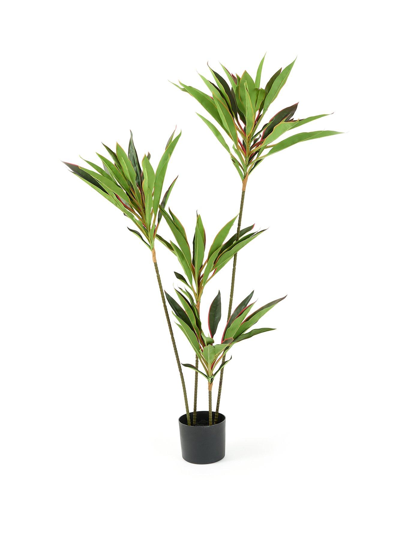 the-very-collection-120cm-real-touch-red-dracaena-in-plastic-potstillFront