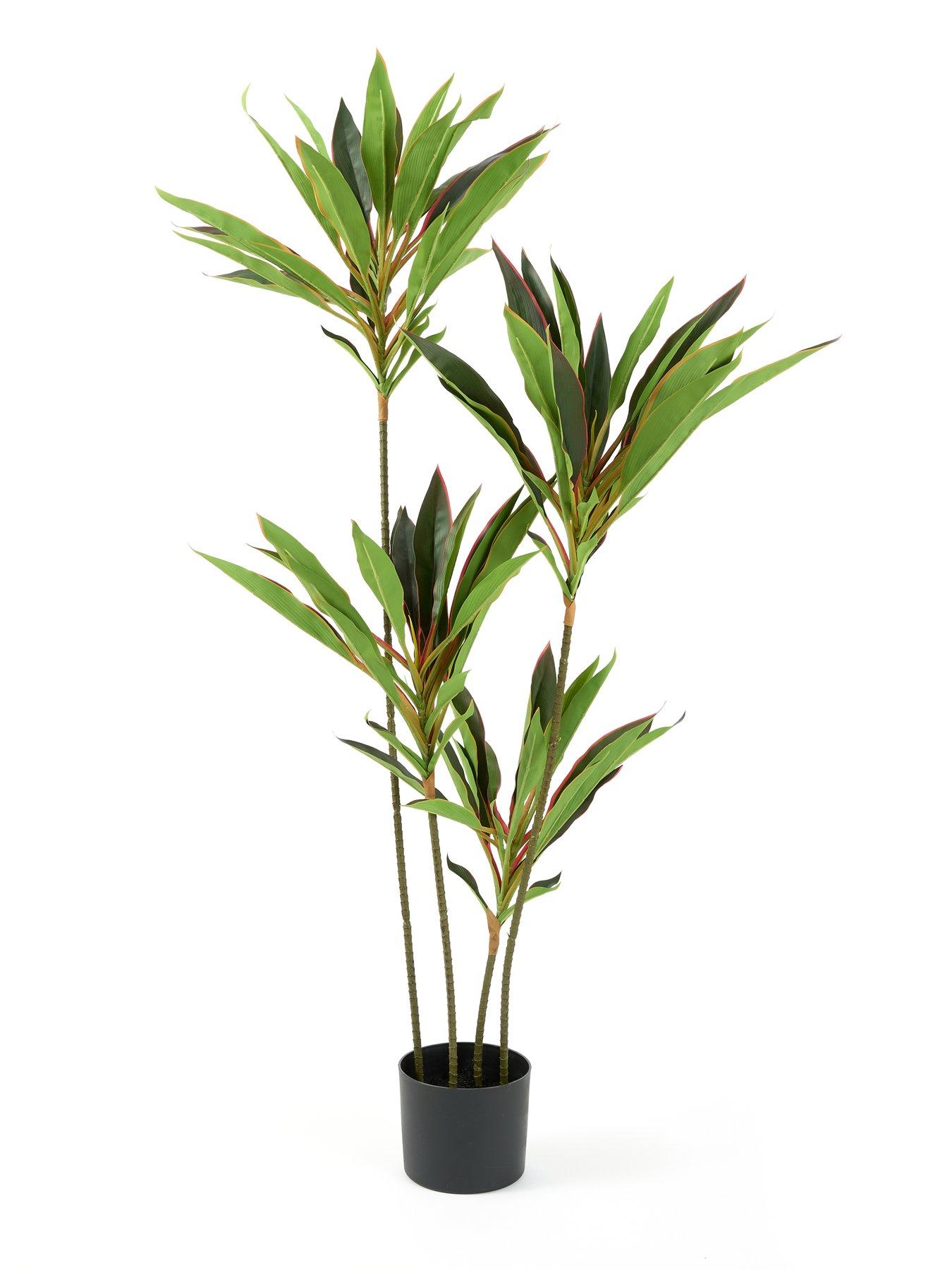 the-very-collection-120cm-real-touch-red-dracaena-in-plastic-potback