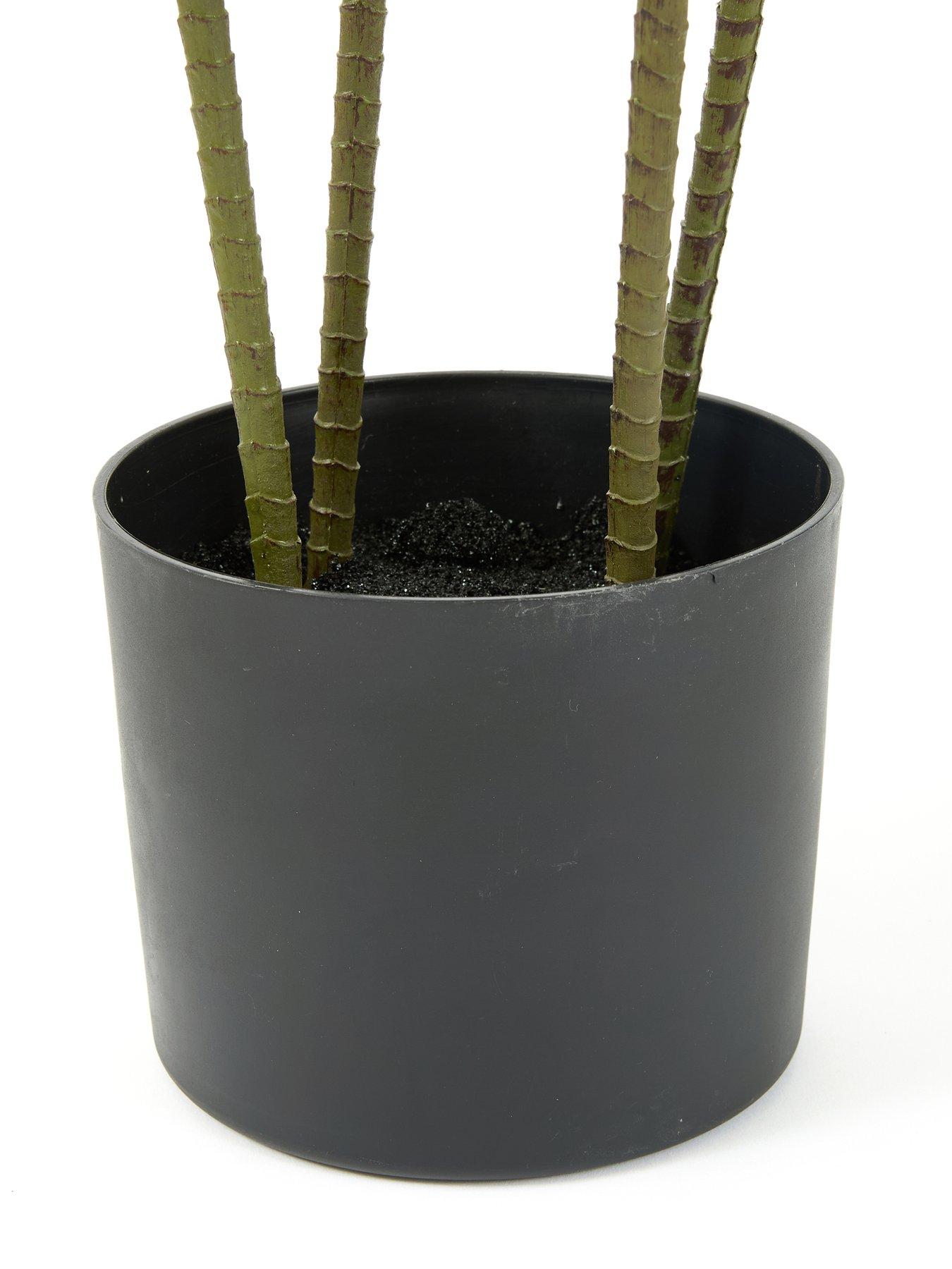 the-very-collection-120cm-real-touch-red-dracaena-in-plastic-potoutfit