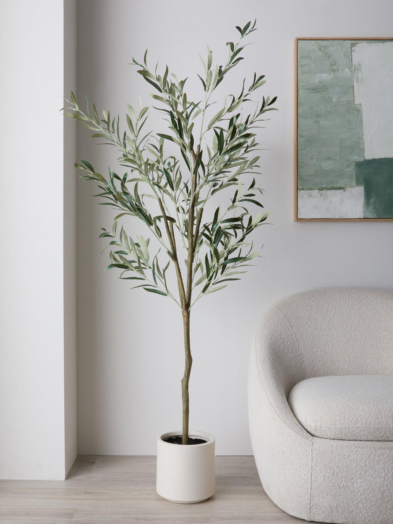 michelle-keegan-home-180cm-olive-tree-in-plastic-pot
