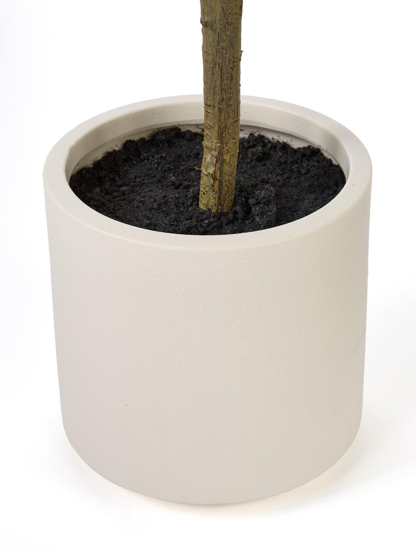 michelle-keegan-home-180cm-olive-tree-in-plastic-potoutfit