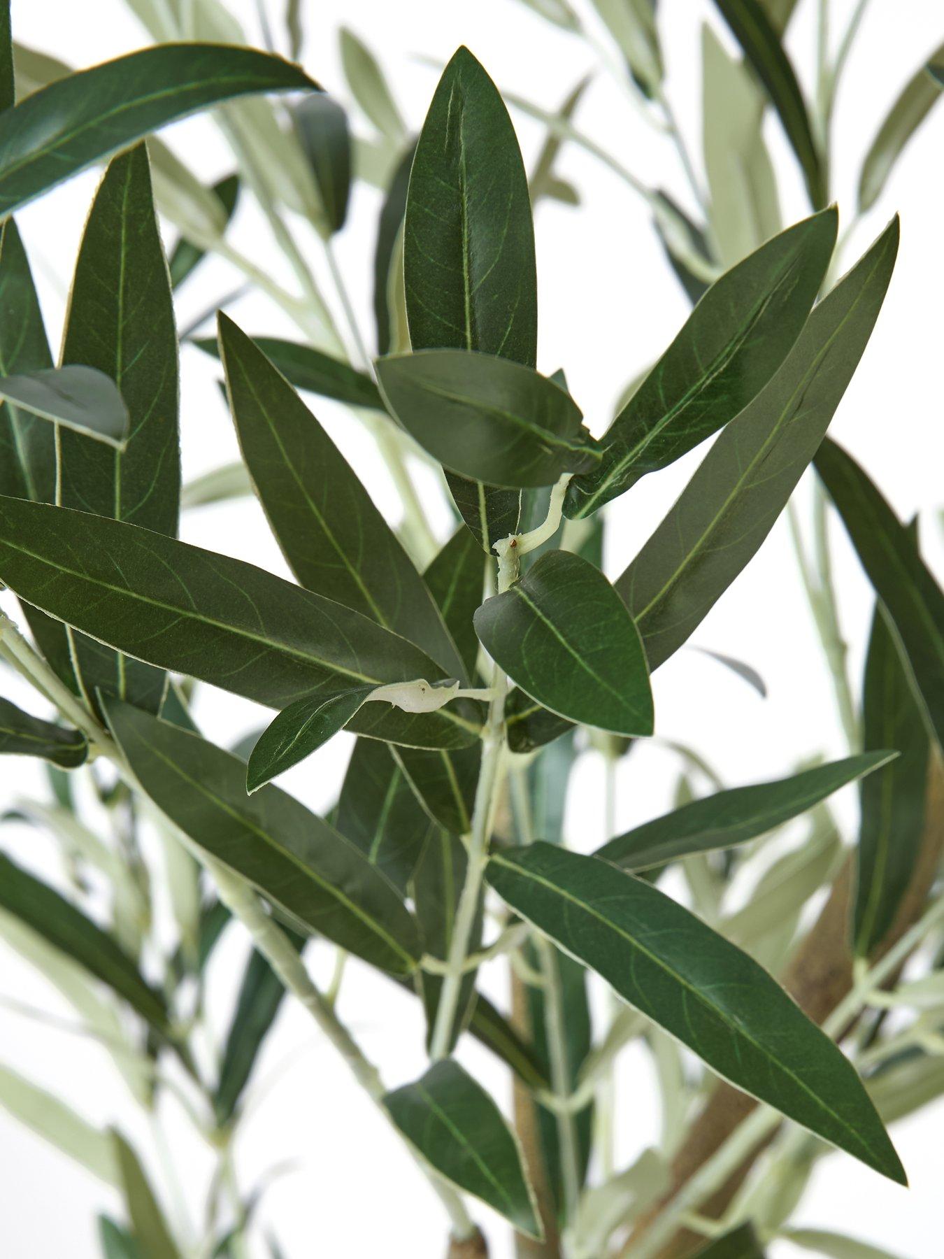 michelle-keegan-home-180cm-olive-tree-in-plastic-potdetail