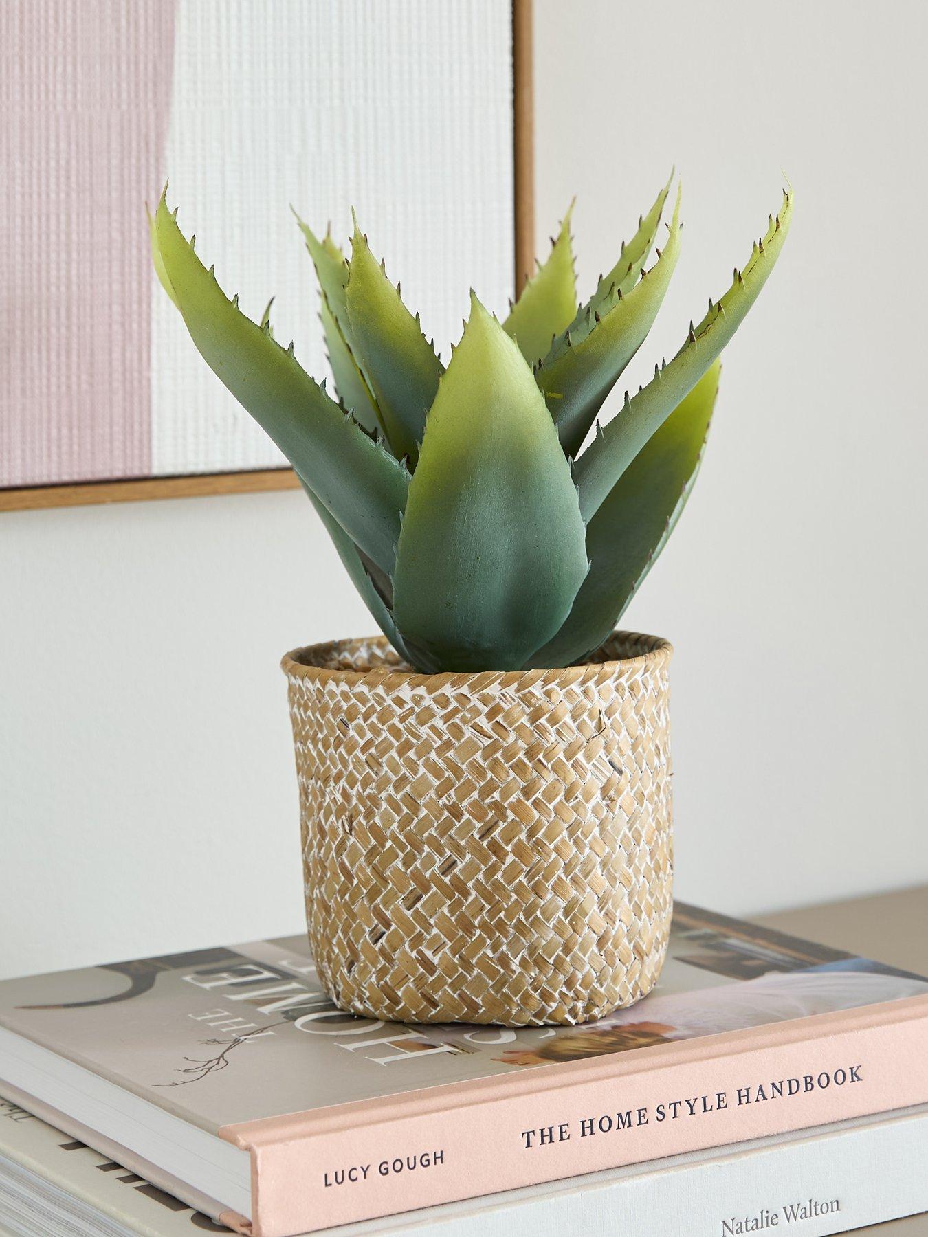 the-very-collection-28cm-aloe-woven-pot
