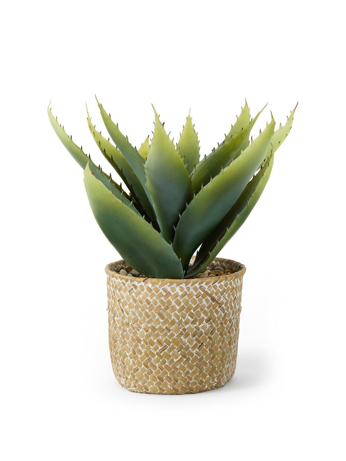 the-very-collection-28cm-aloe-woven-potstillFront