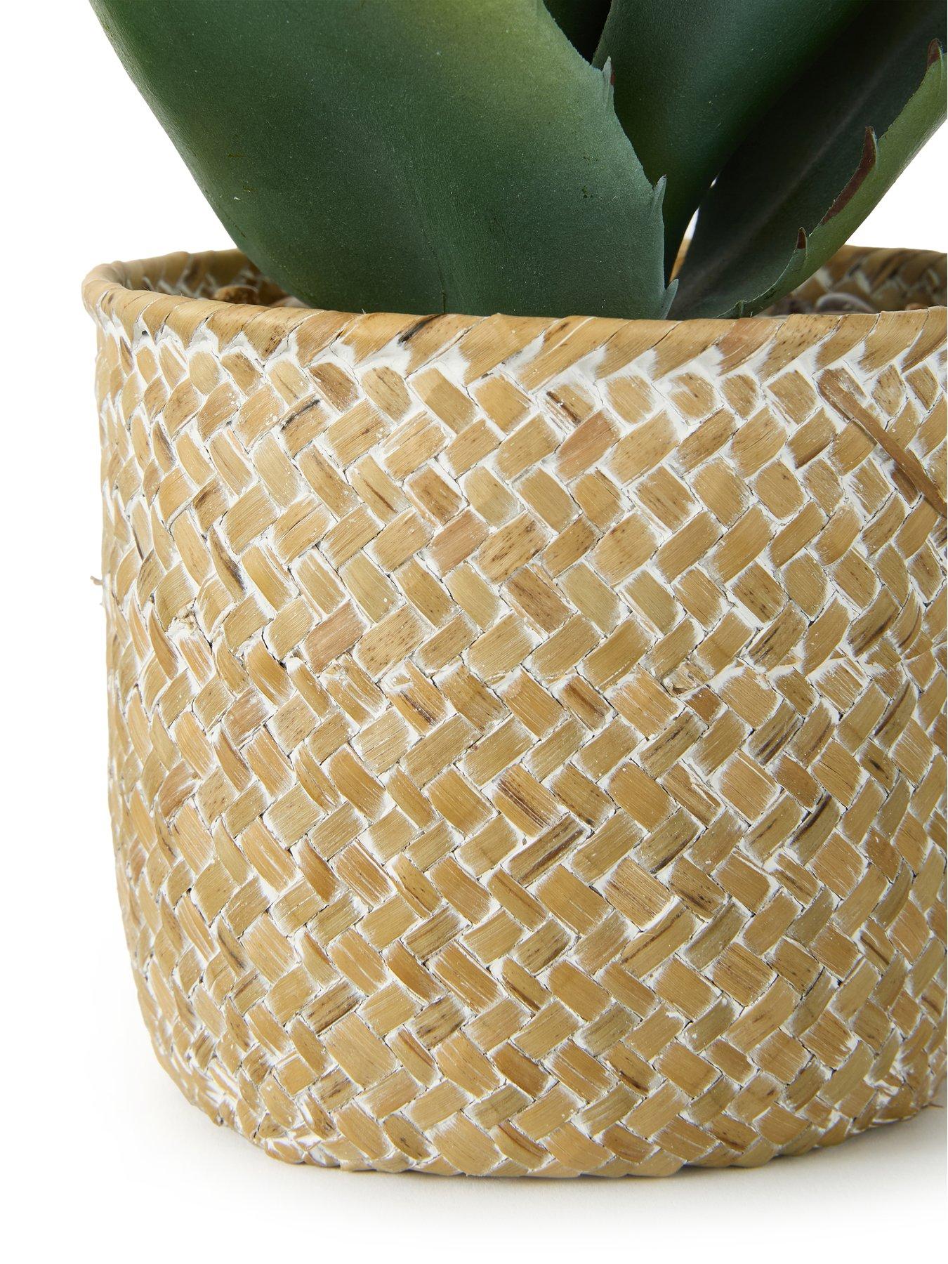 the-very-collection-28cm-aloe-woven-potoutfit