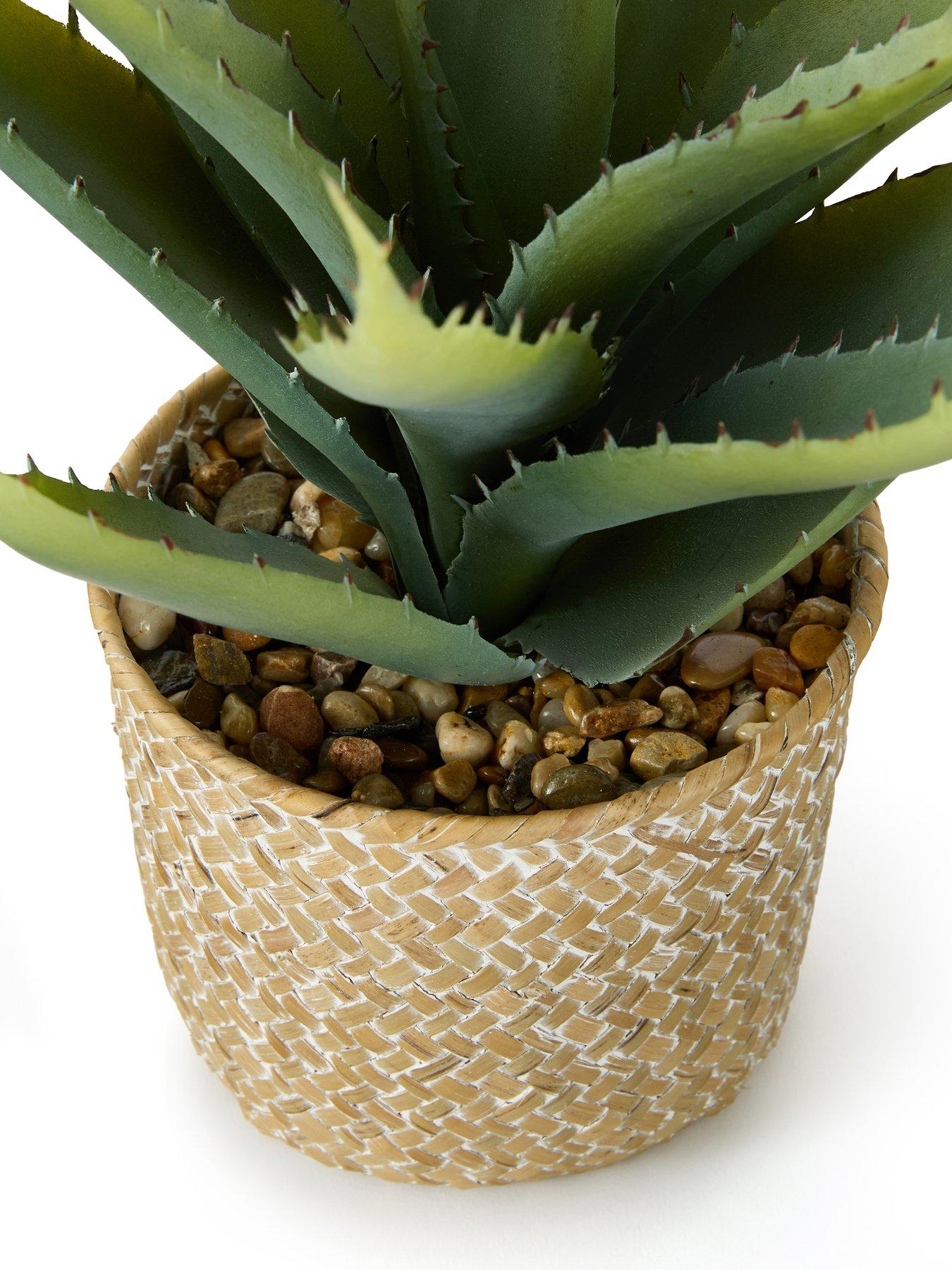 the-very-collection-28cm-aloe-woven-potdetail