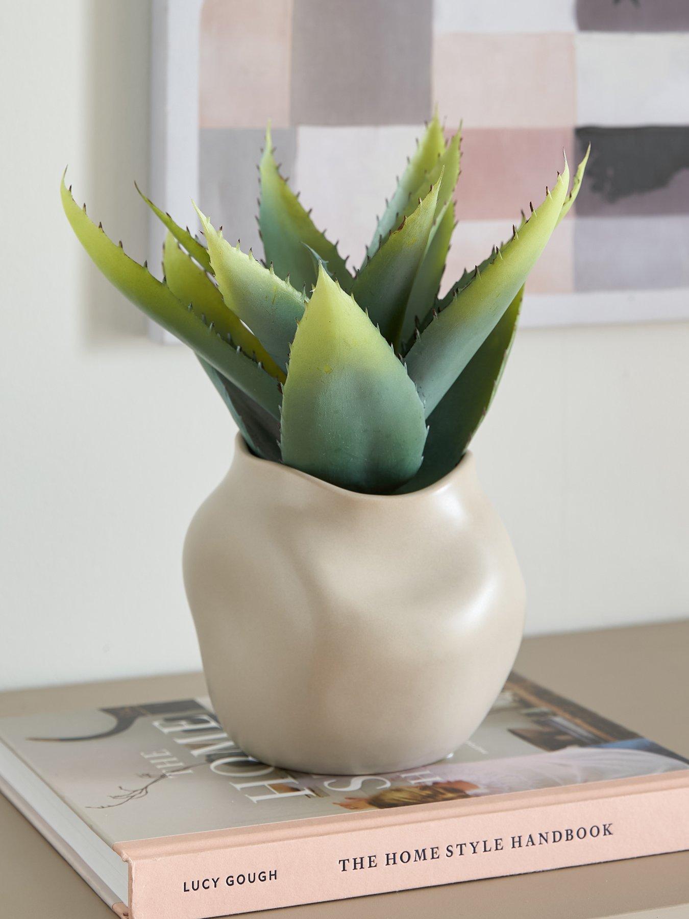 Image 1 of 6 of The Very Collection 30cm Aloe Absract Beige Ceramic Pot