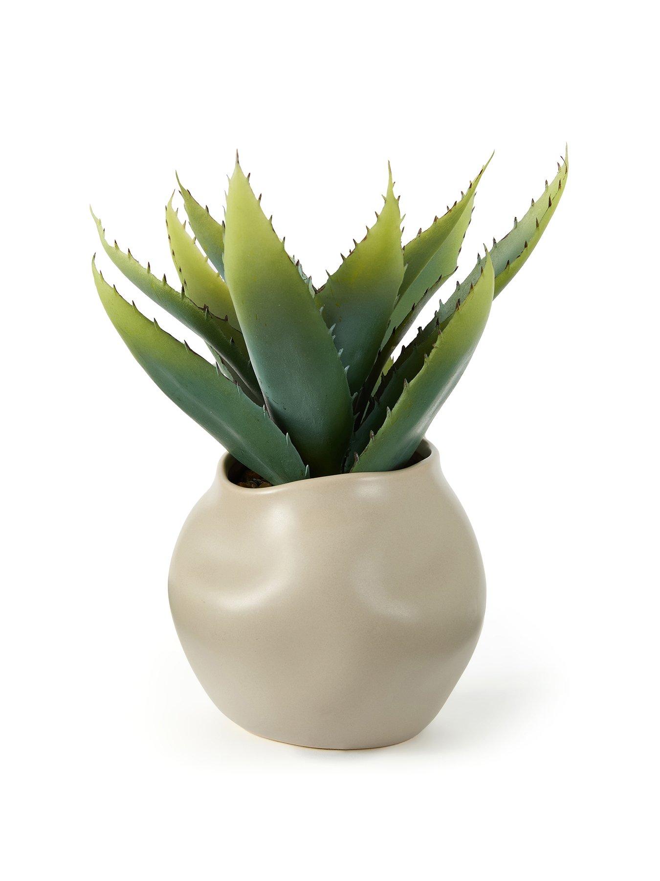 Image 2 of 6 of The Very Collection 30cm Aloe Absract Beige Ceramic Pot