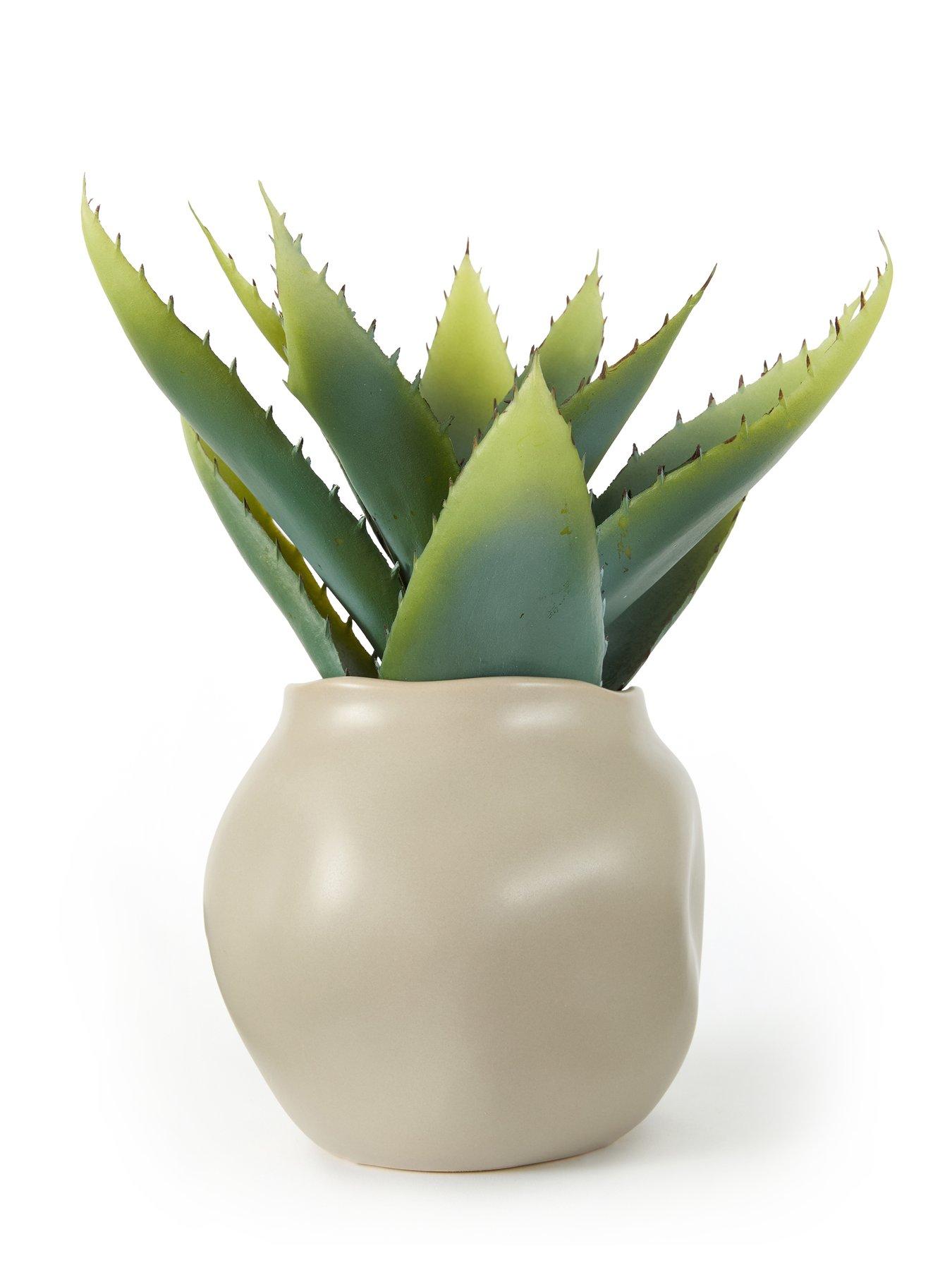 Image 3 of 6 of The Very Collection 30cm Aloe Absract Beige Ceramic Pot