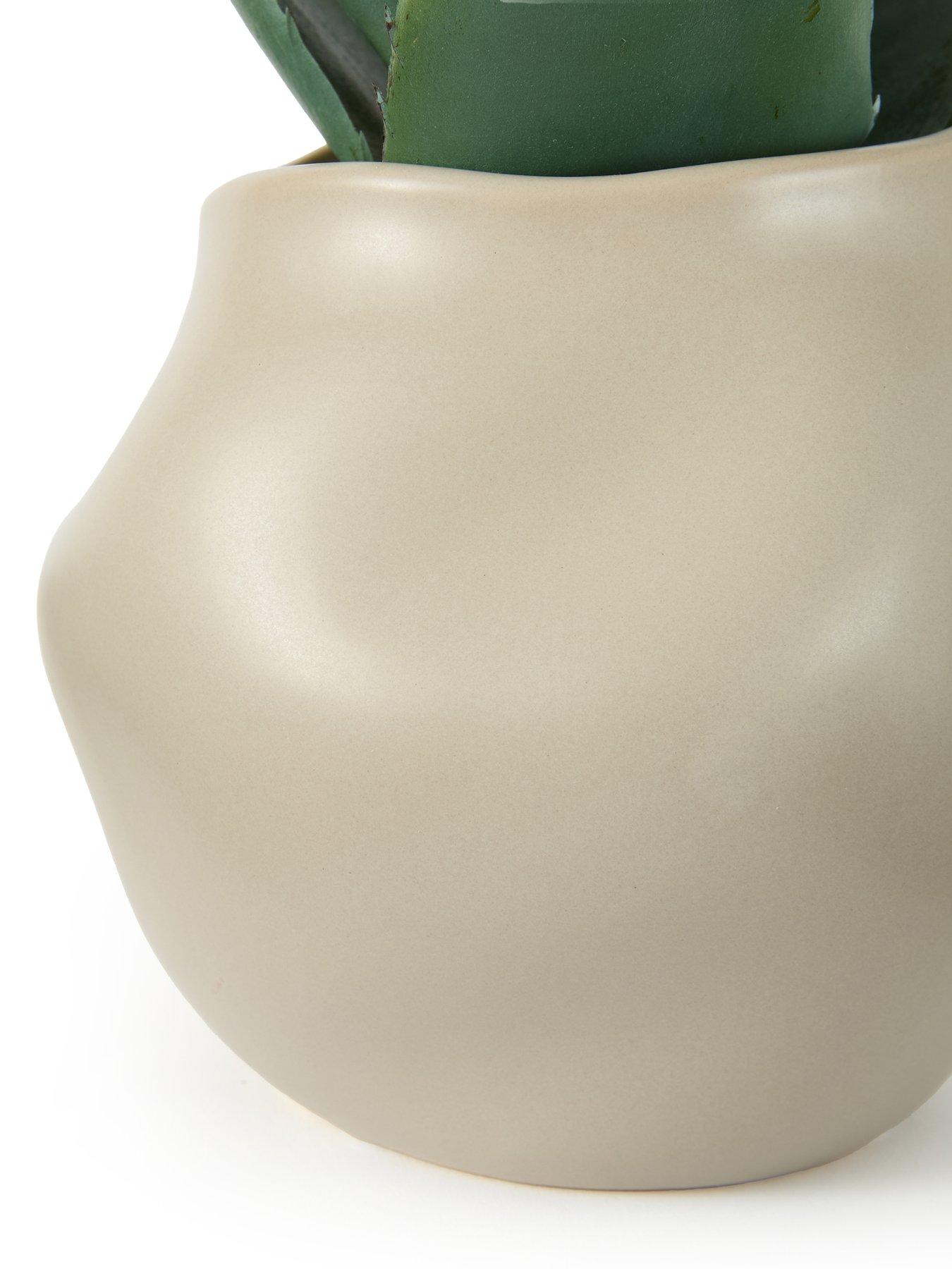 Image 4 of 6 of The Very Collection 30cm Aloe Absract Beige Ceramic Pot