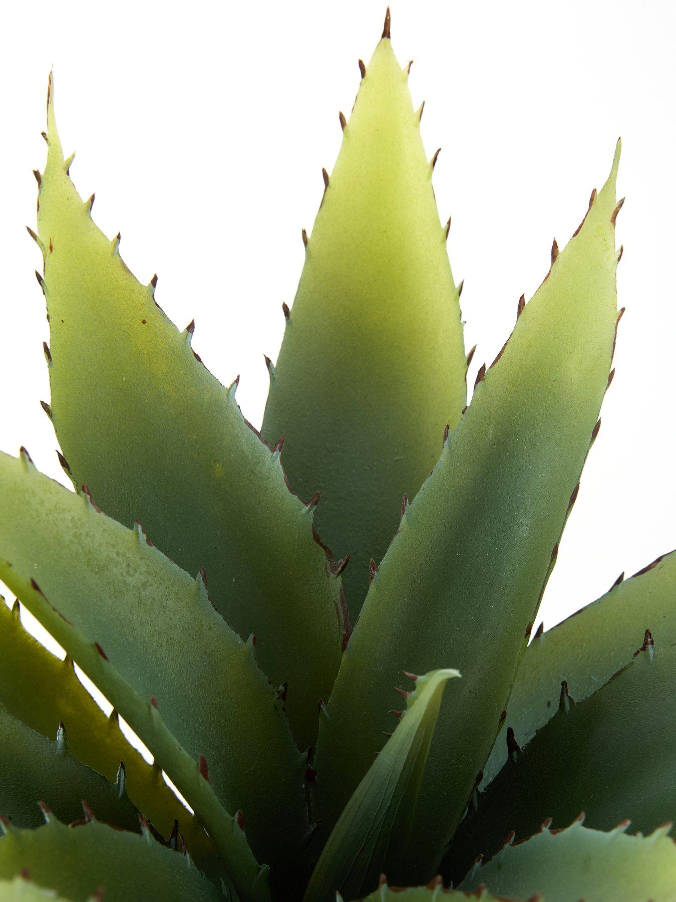 Image 6 of 6 of The Very Collection 30cm Aloe Absract Beige Ceramic Pot