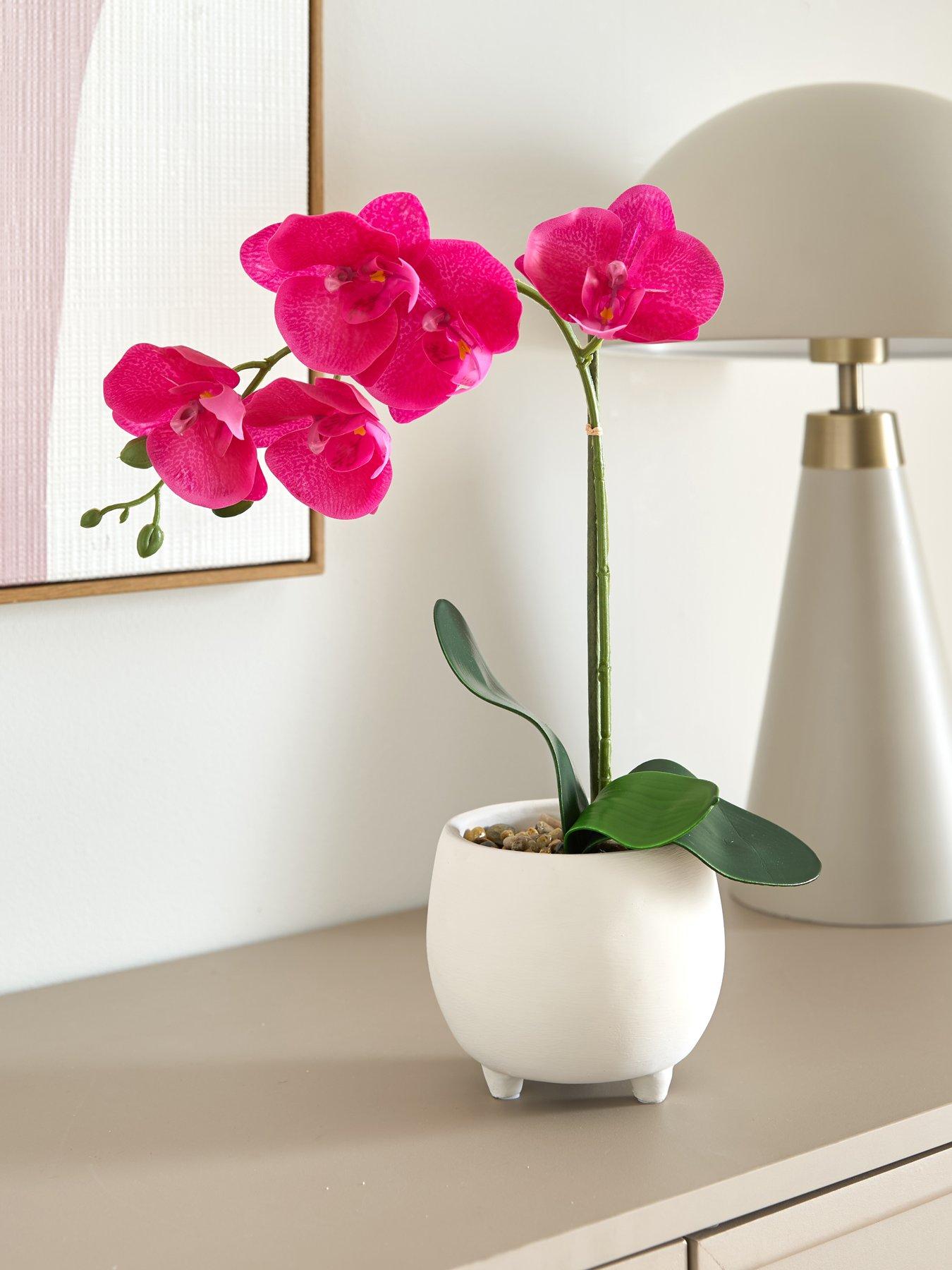 the-very-collection-40cm-pink-orchid-in-white-ceramic-pot