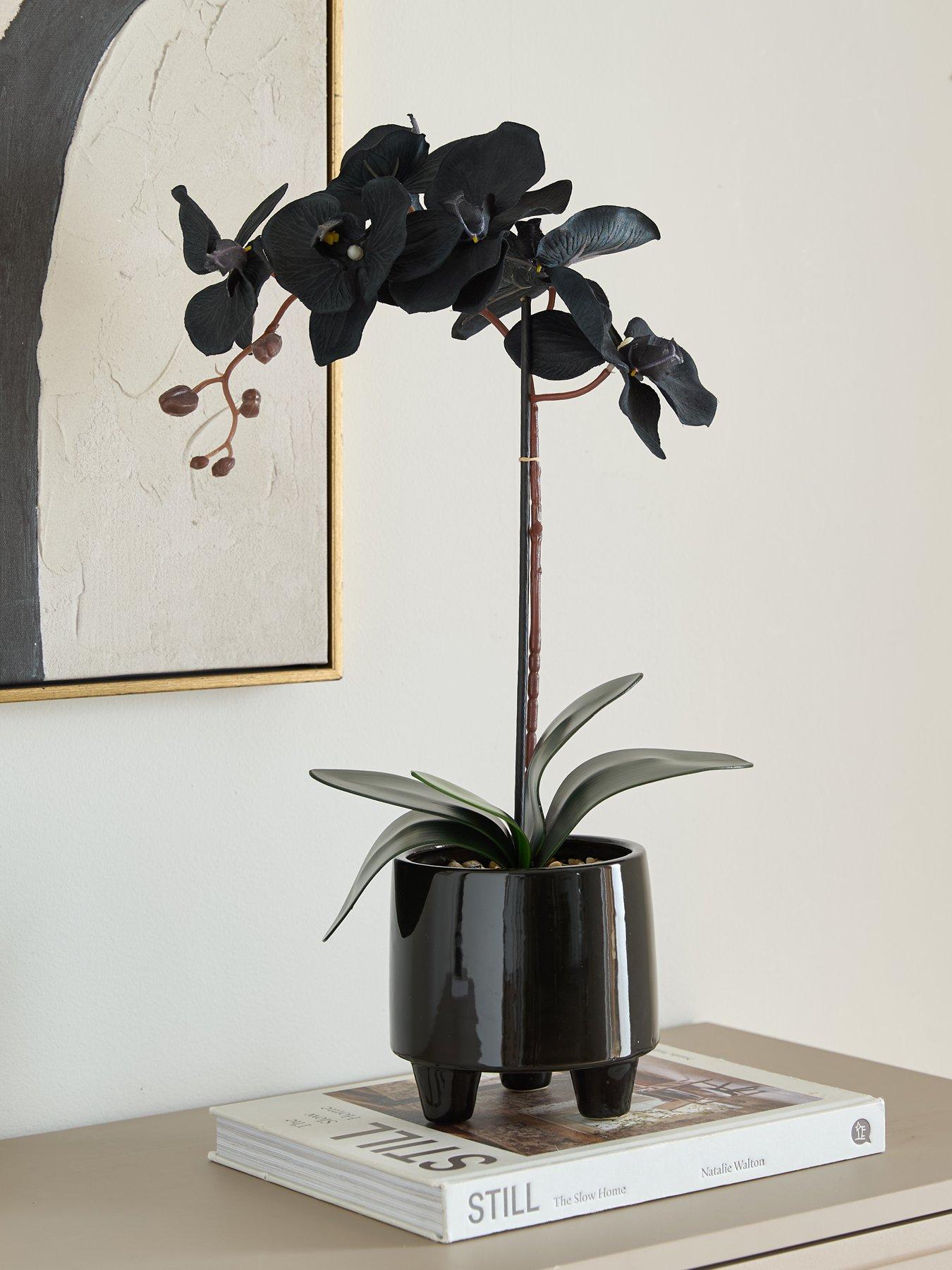 Image 1 of 6 of The Very Collection 50cm Black Orchid In Black Ceramic Pot