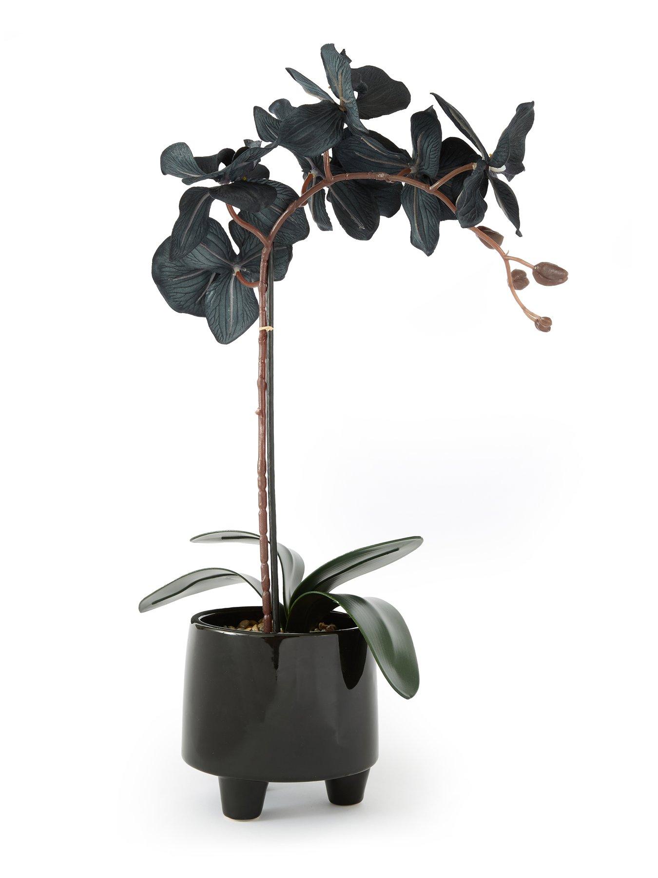 Image 3 of 6 of The Very Collection 50cm Black Orchid In Black Ceramic Pot