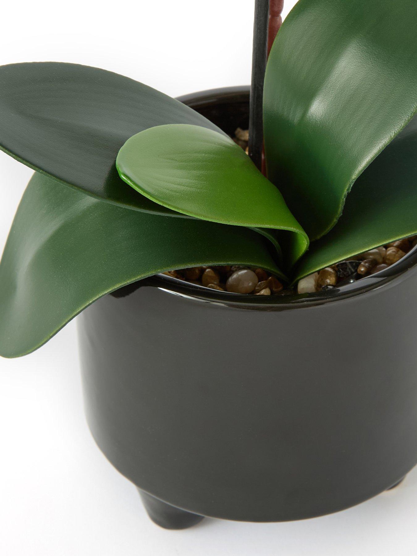 Image 5 of 6 of The Very Collection 50cm Black Orchid In Black Ceramic Pot