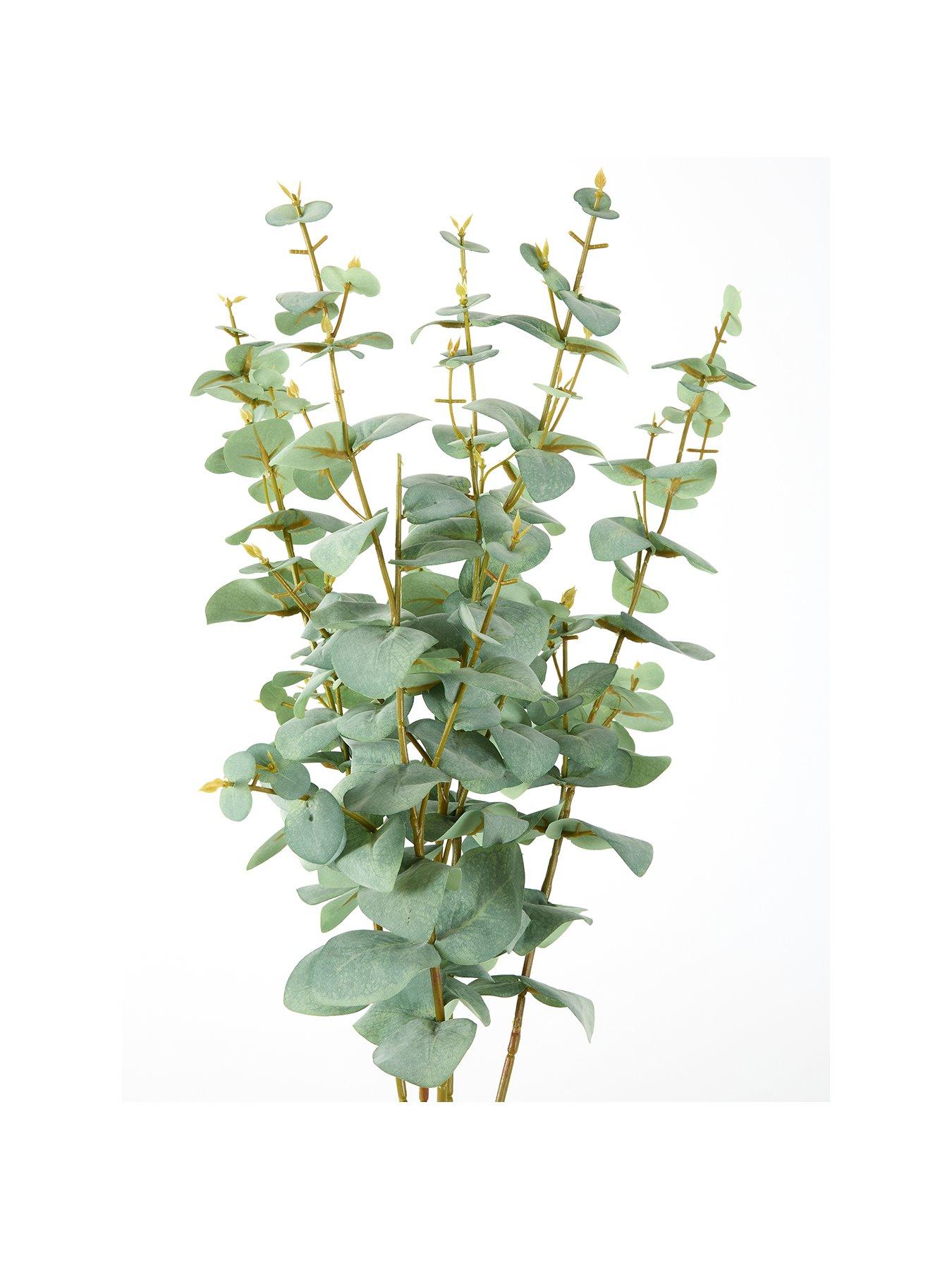 Image 2 of 4 of The Very Collection 69cm Eucalyptus Stems Pack Of 5