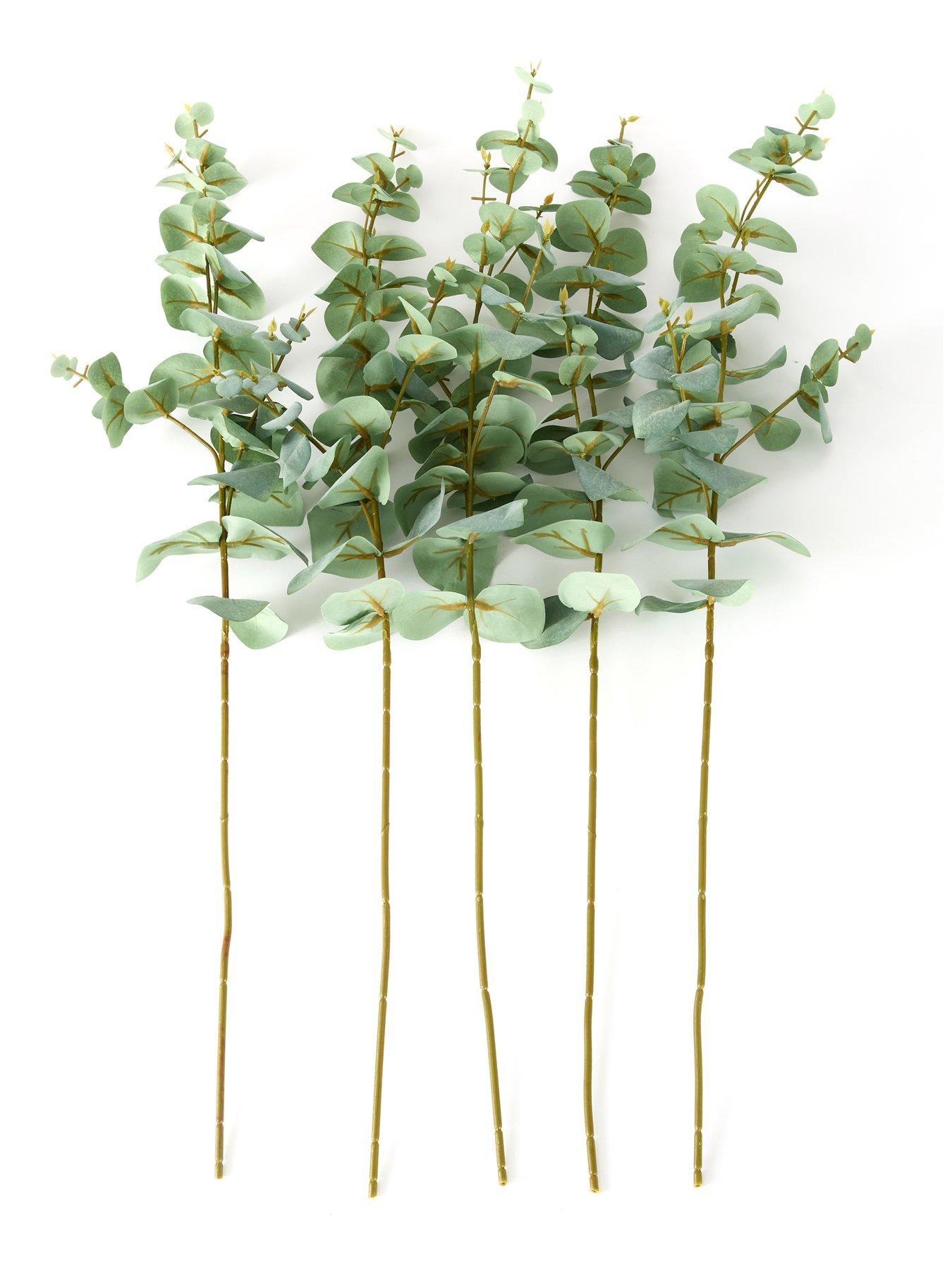 Image 3 of 4 of The Very Collection 69cm Eucalyptus Stems Pack Of 5