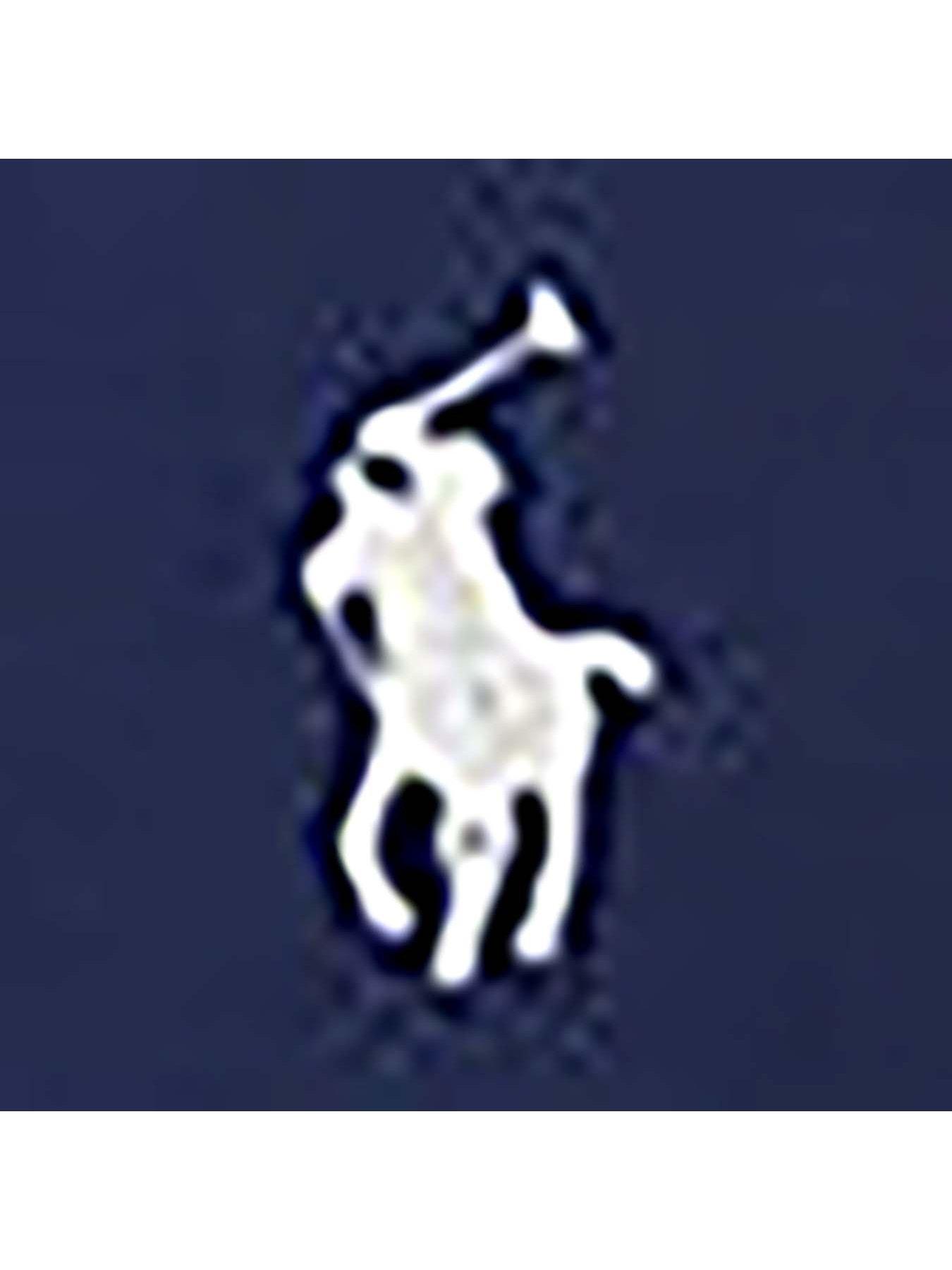 polo-ralph-lauren-boys-sweatshirt-navyoutfit