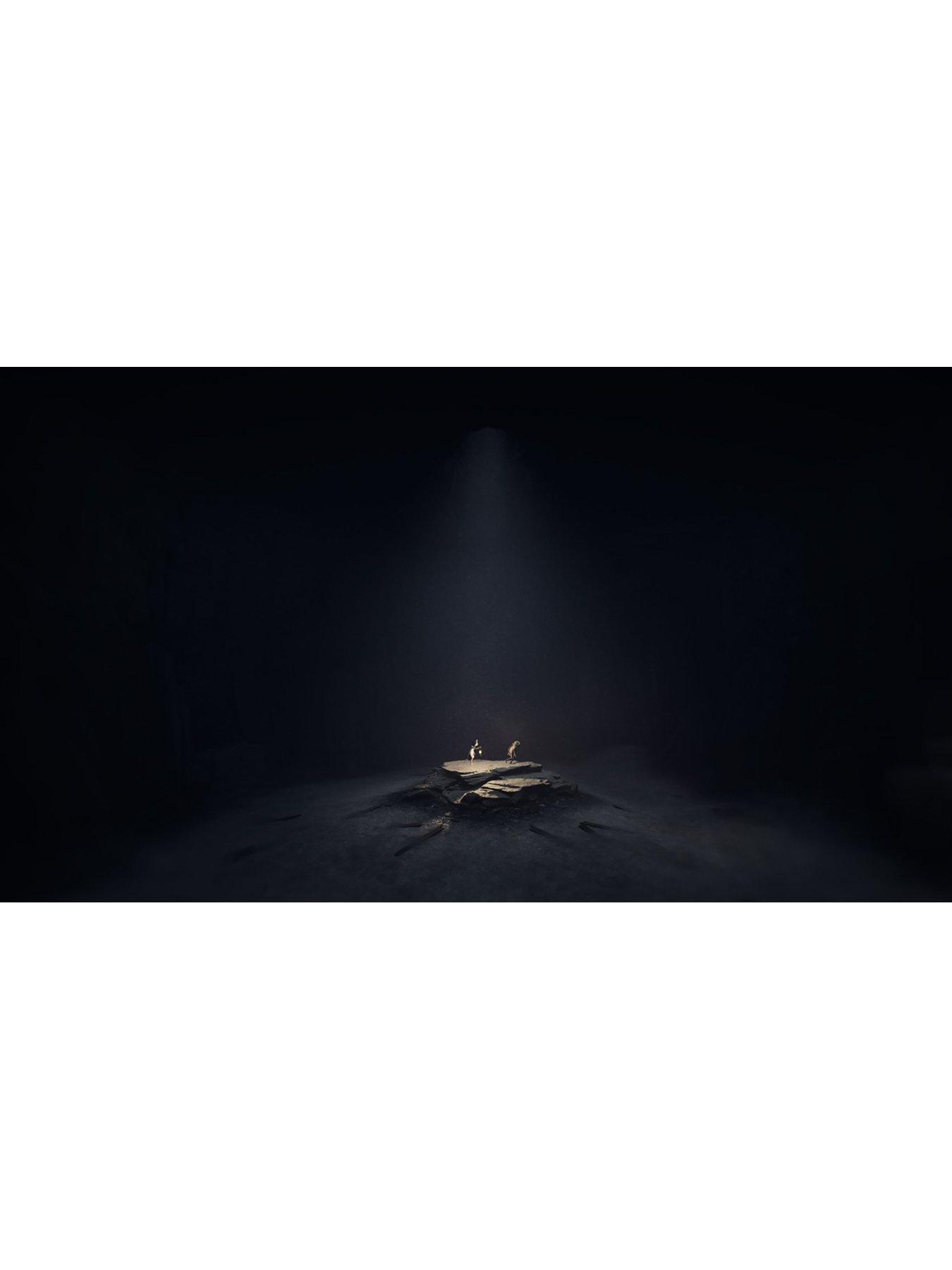 playstation-5-reanimaldetail