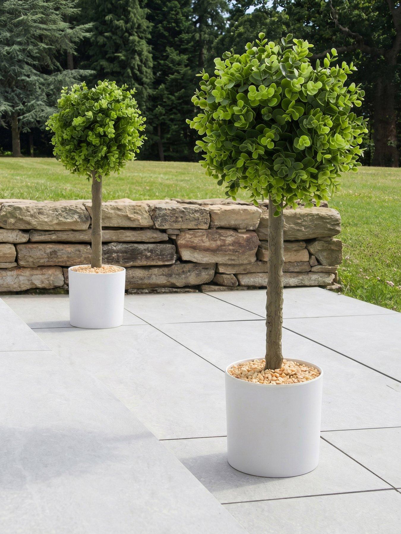 The Very Collection Set Of 2 Golden Coin Plant Topiary Ball Potted Tree Outdoor/Indoor 60Cm