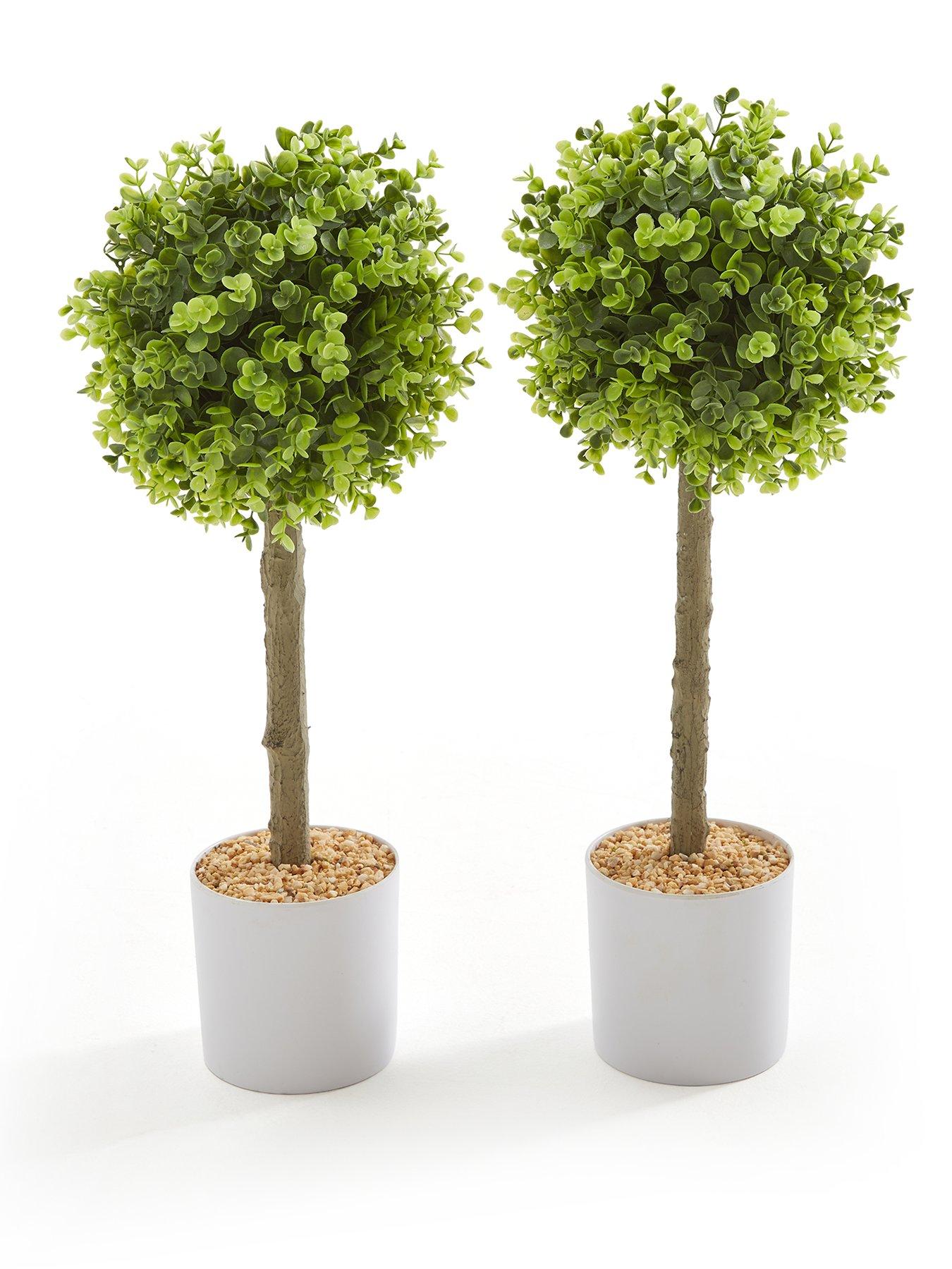The Very Collection Set Of 2 Golden Coin Plant Topiary Ball Potted Tree Outdoor/Indoor 60Cm