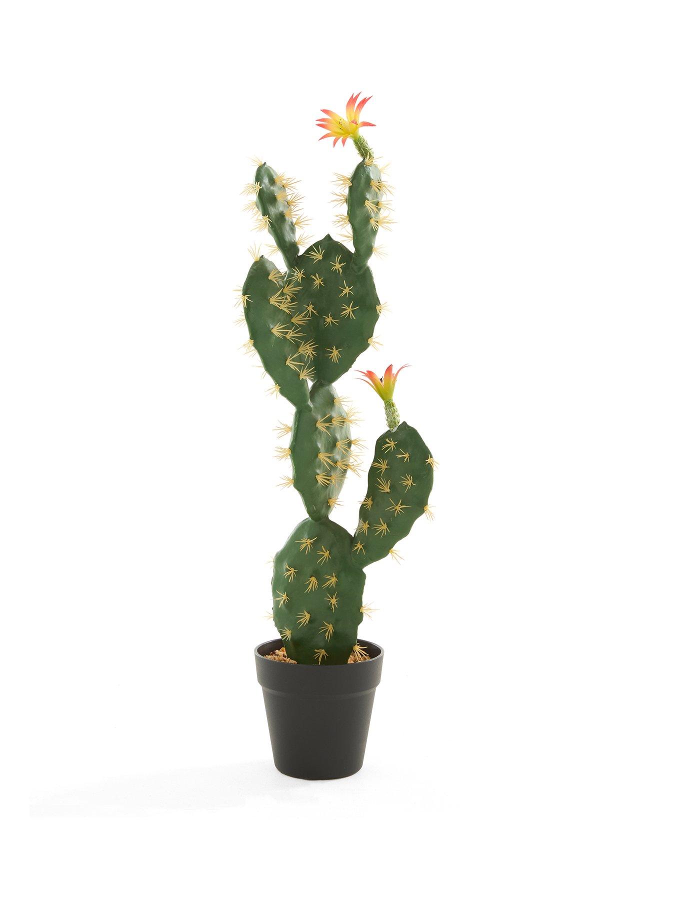 Image 1 of 5 of The Very Collection Prickly Pear Artificial Outdoor Cactus Plant