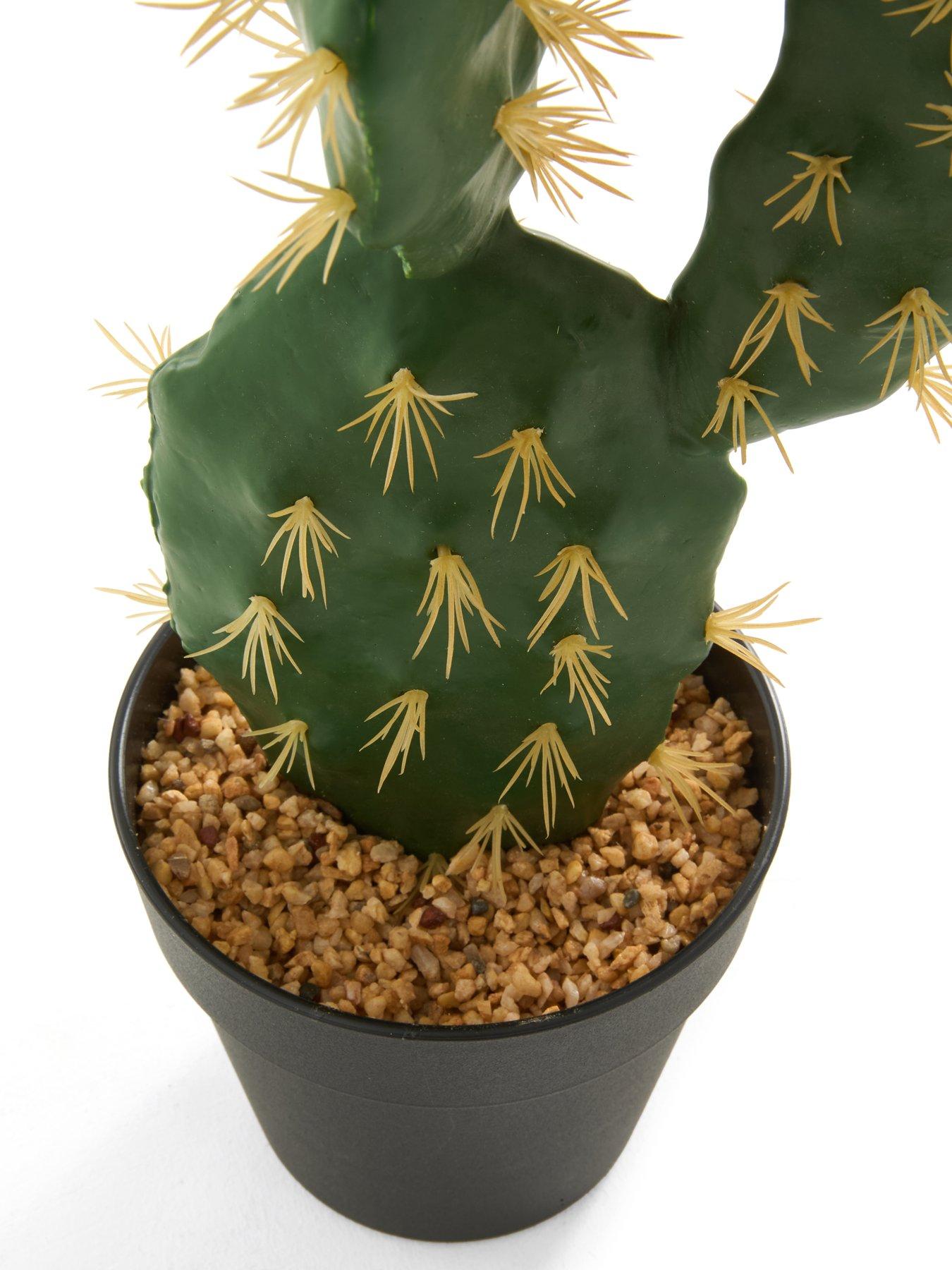 Image 2 of 5 of The Very Collection Prickly Pear Artificial Outdoor Cactus Plant
