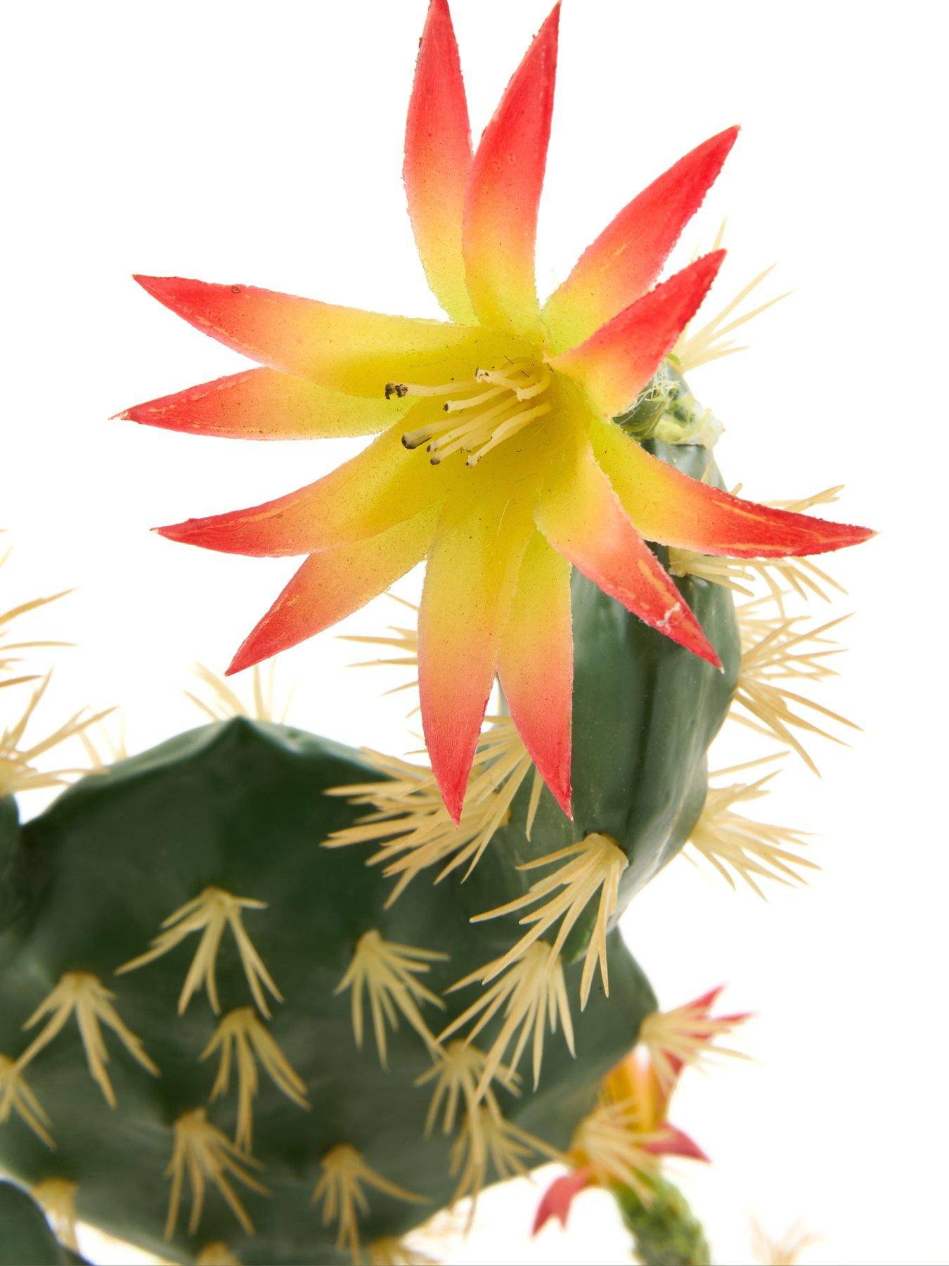 Image 3 of 5 of The Very Collection Prickly Pear Artificial Outdoor Cactus Plant